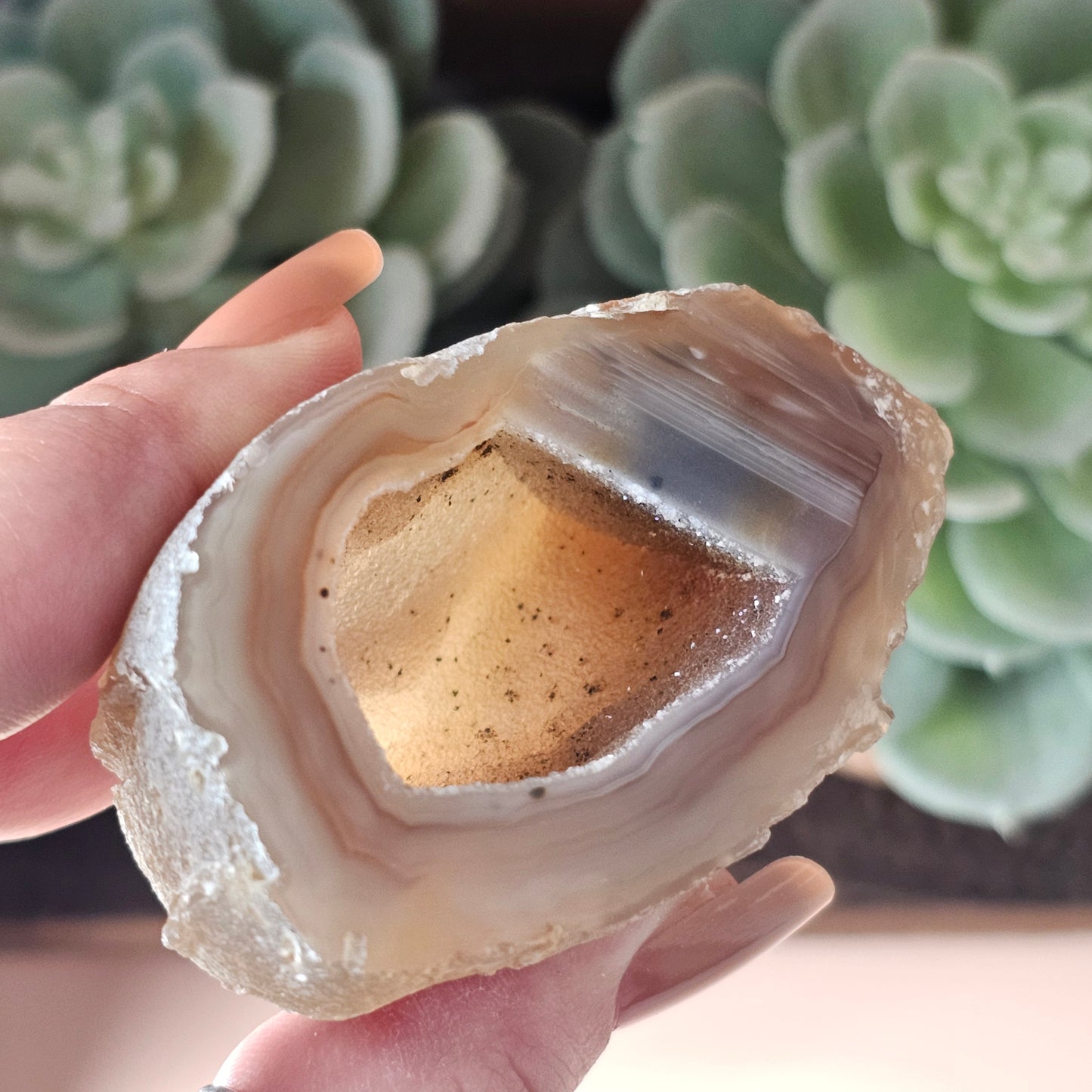 Medium Agate Geode