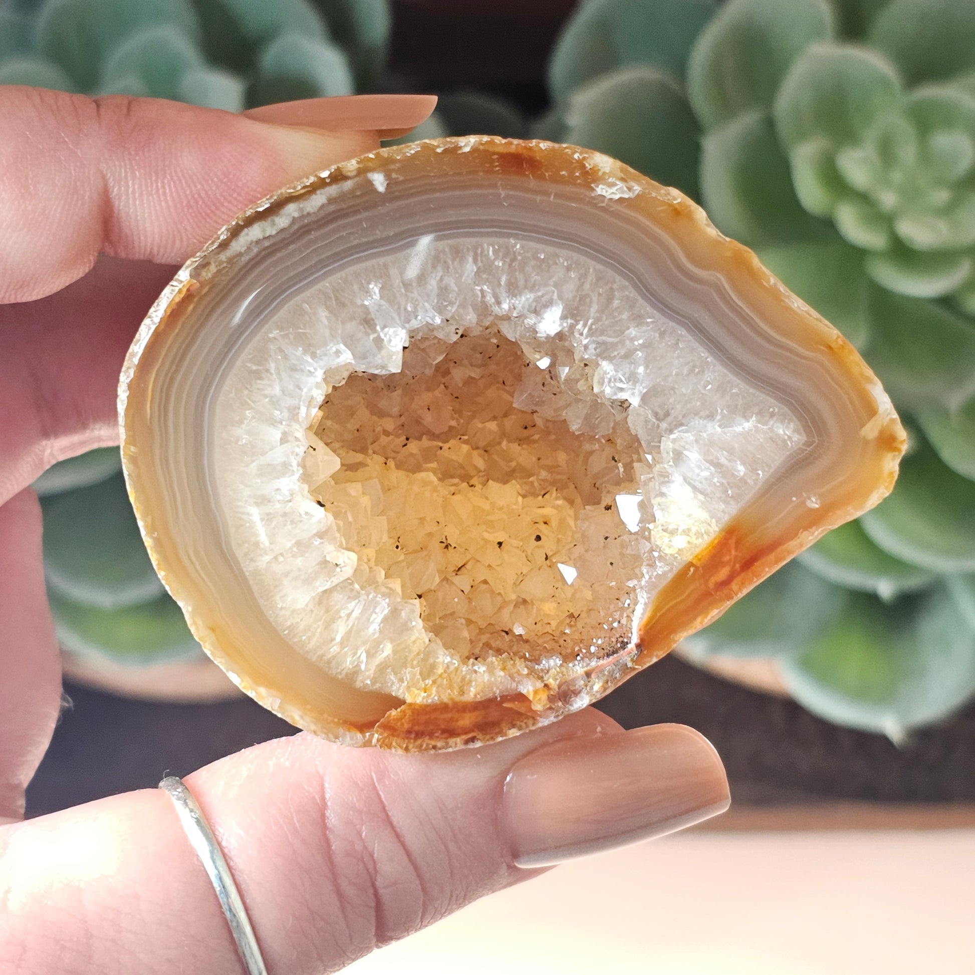 Medium Agate Geode