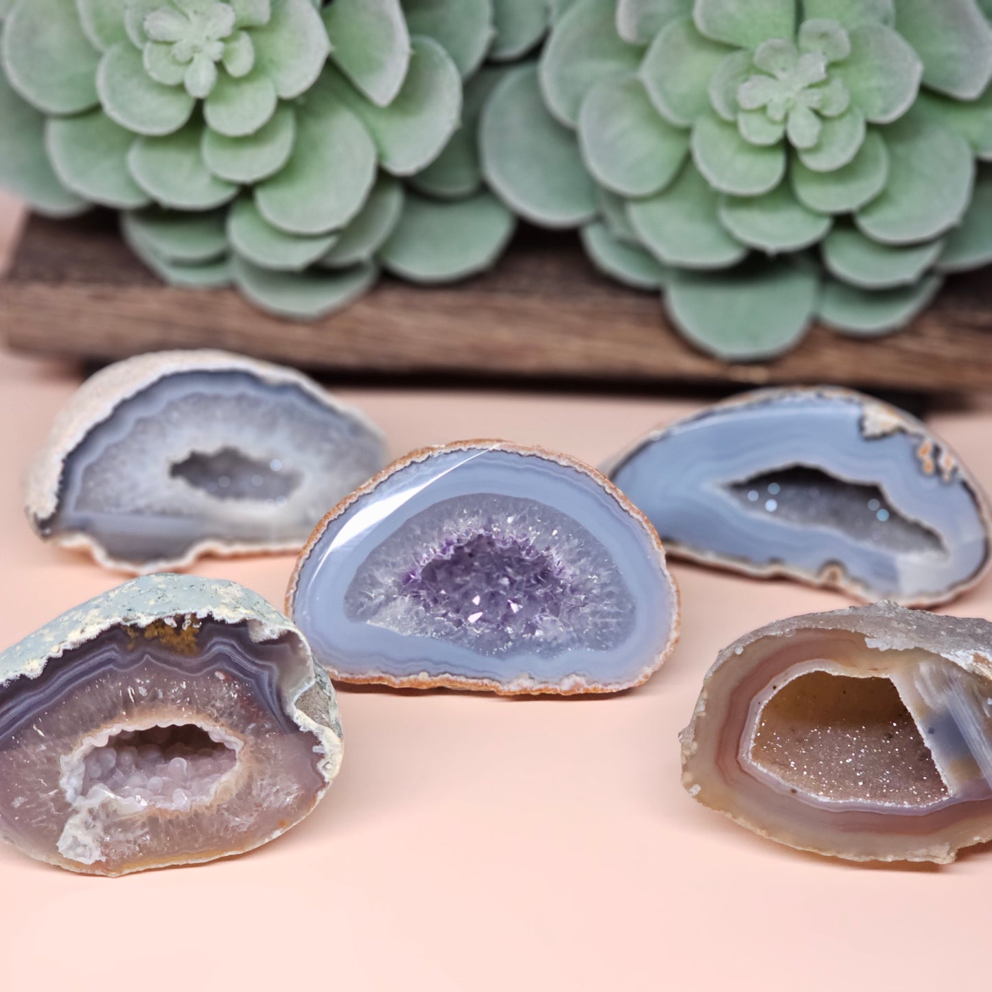 Medium Agate Geode