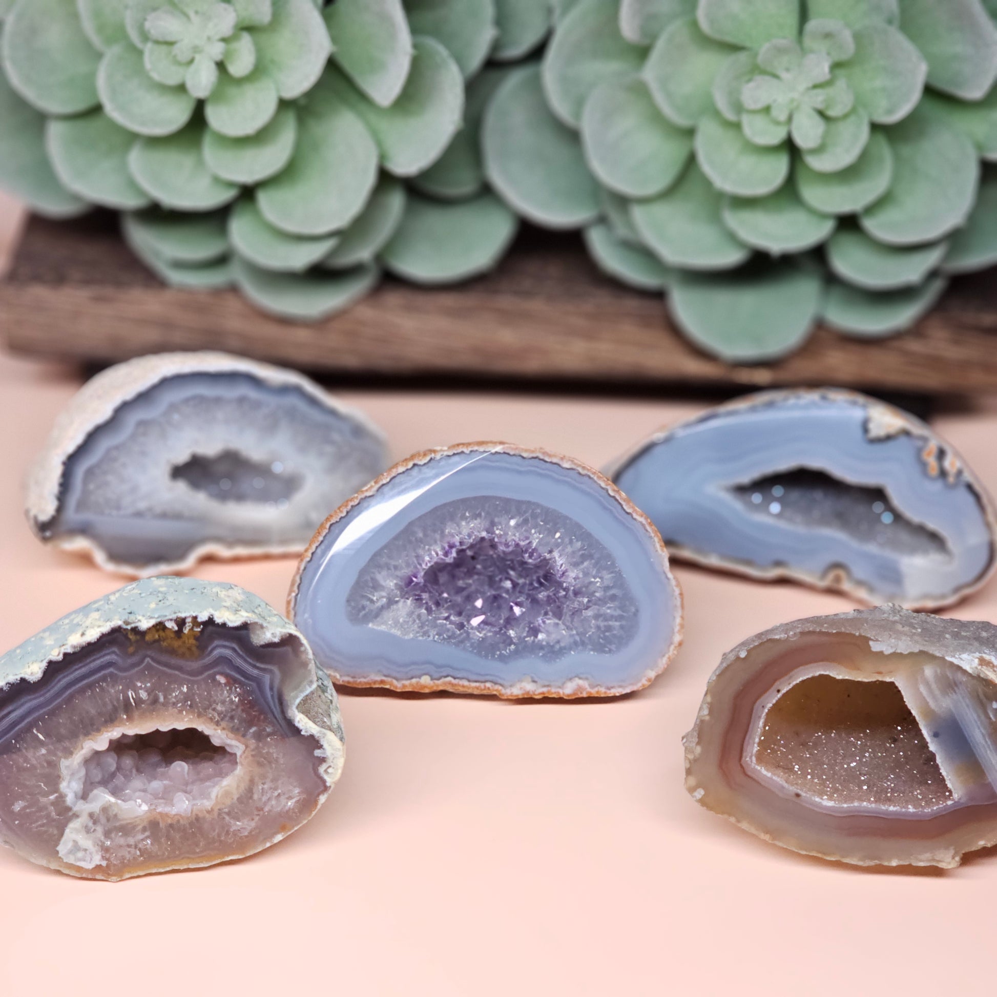 Medium Agate Geode