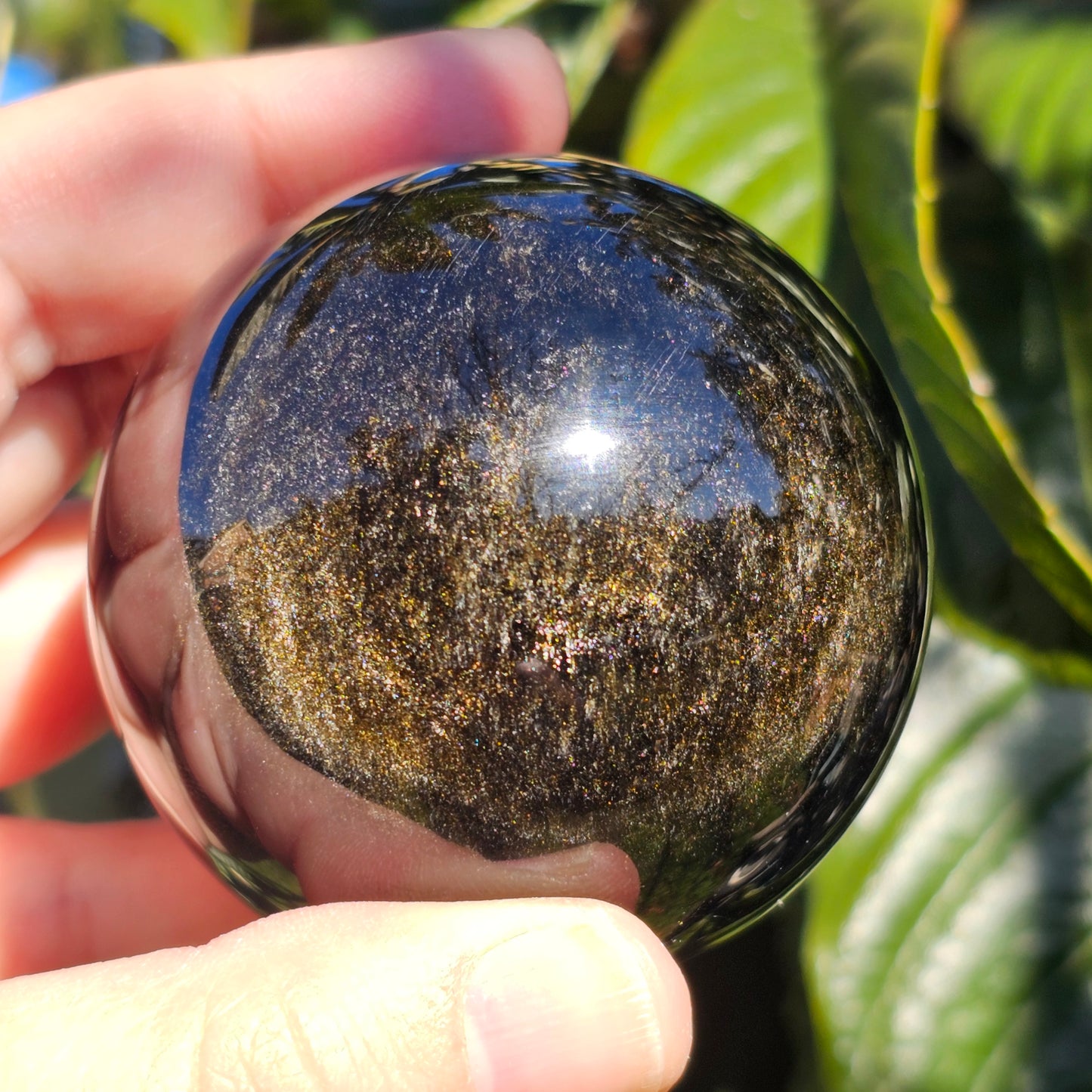 Gold Sheen Obsidian Sphere | A