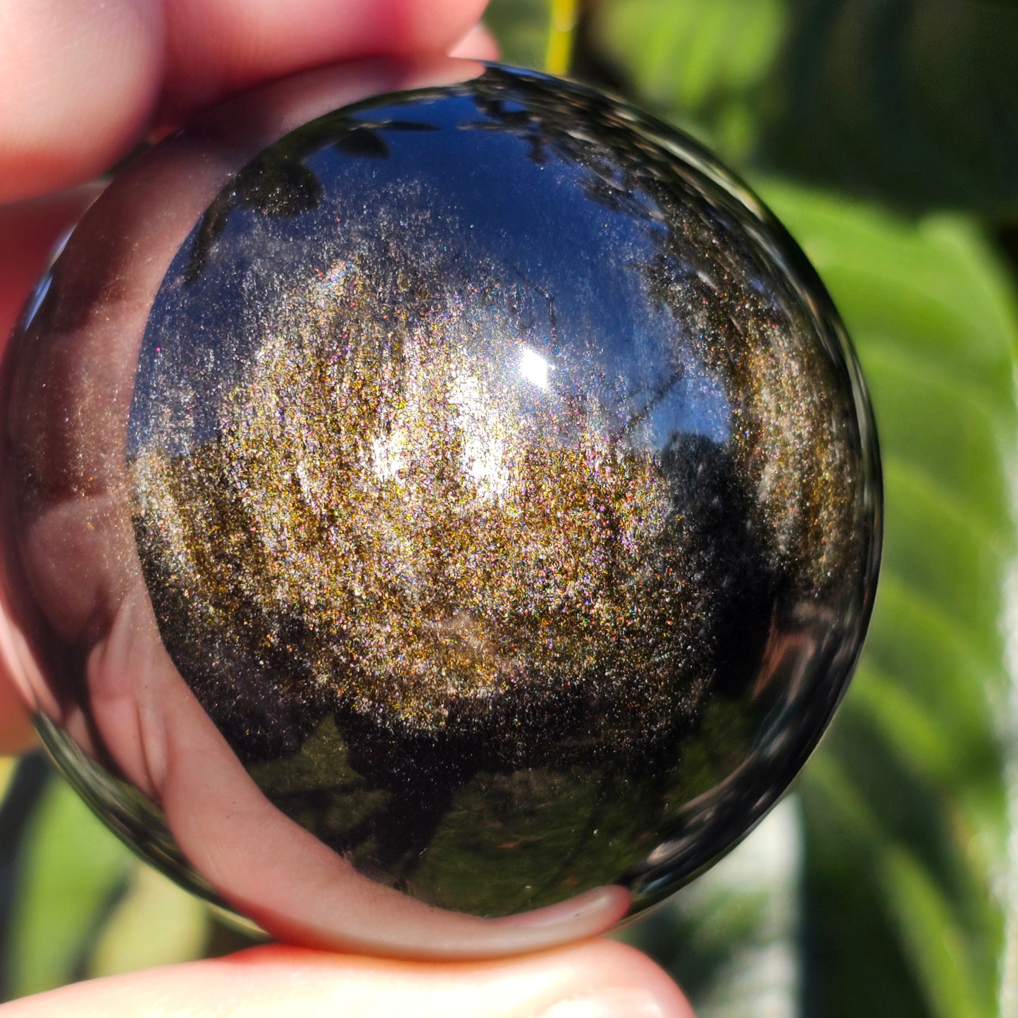 Gold Sheen Obsidian Sphere | A
