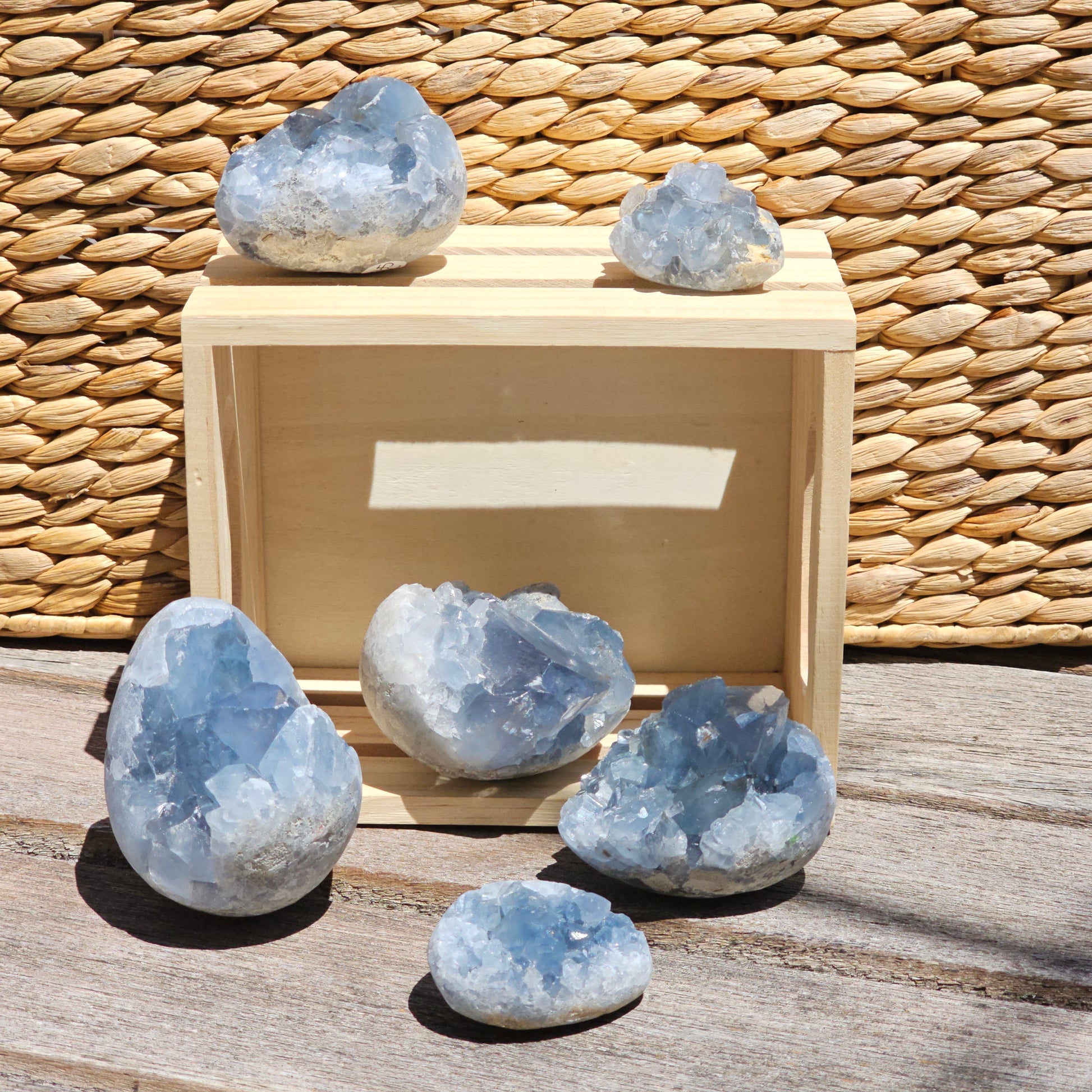 Raw Celestite Specimens
