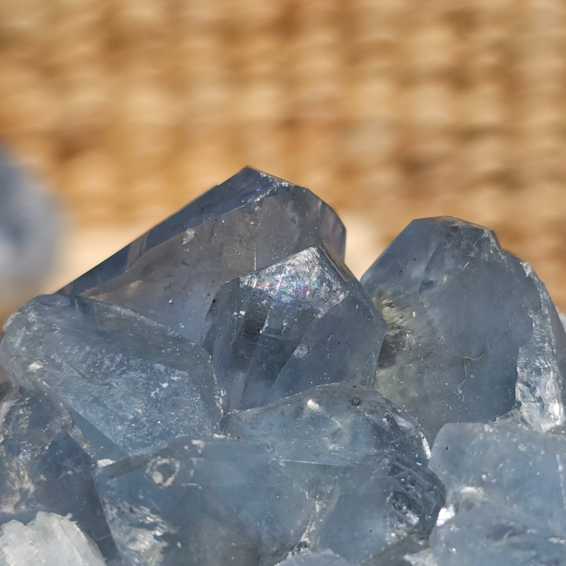 Raw Celestite Specimen