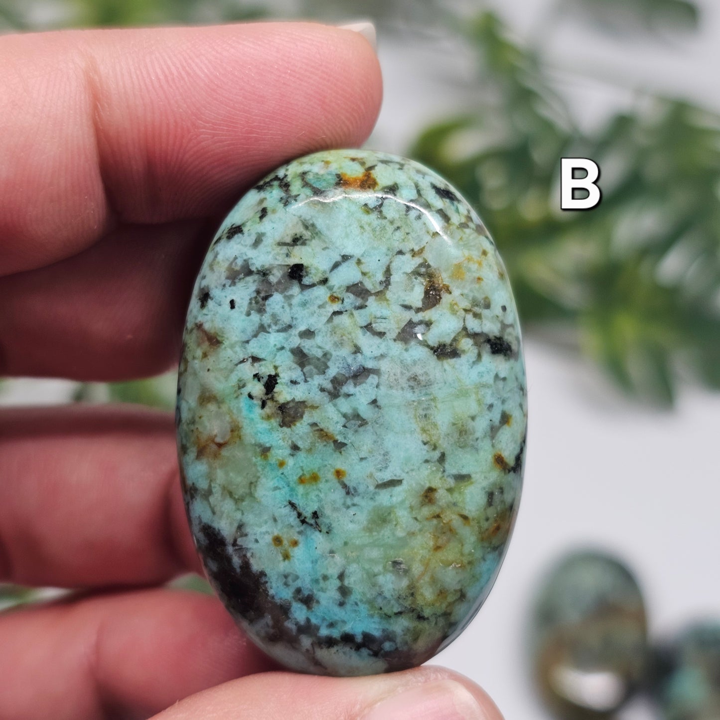 African Turquoise Palm Stone (Choose Your Piece)