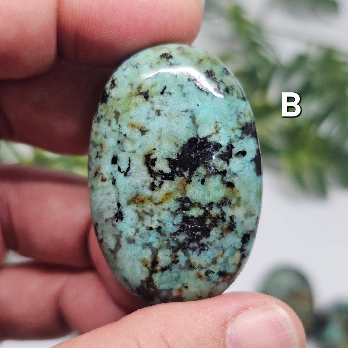 African Turquoise Palm Stone (Choose Your Piece)