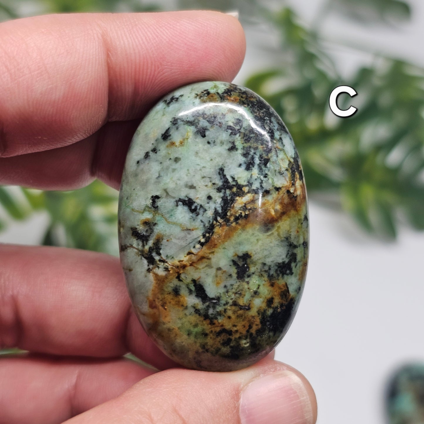 African Turquoise Palm Stone (Choose Your Piece)