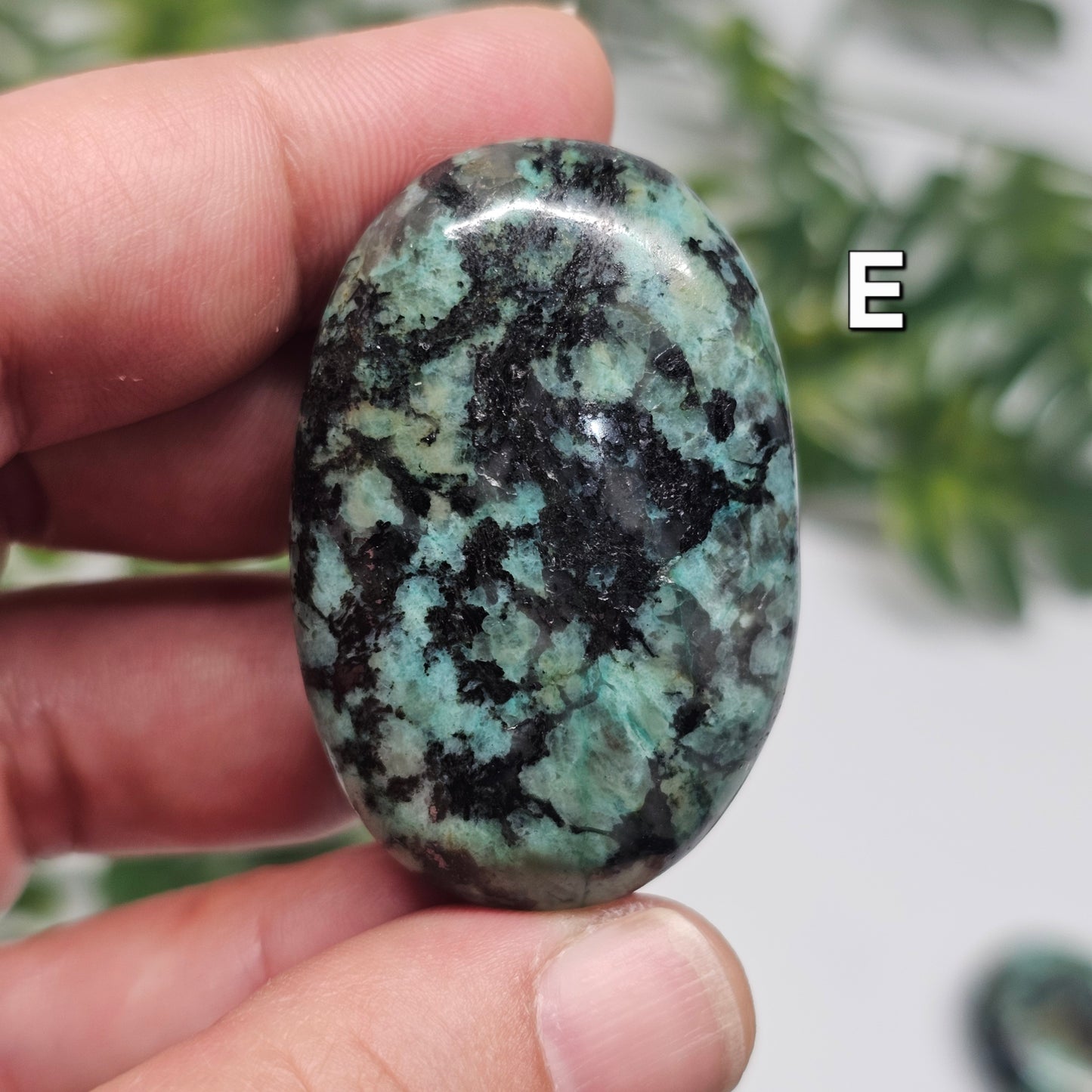 African Turquoise Palm Stone (Choose Your Piece)