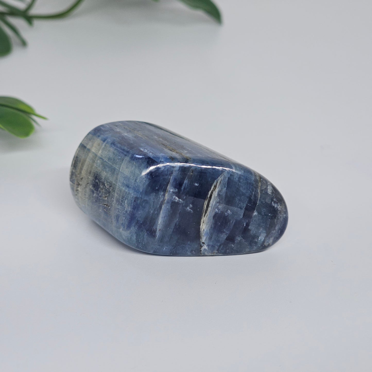 Blue Kyanite Polished Freeform with Strong Silver Flash | Option B | Natural Crystal for Clarity & Inner Alignment