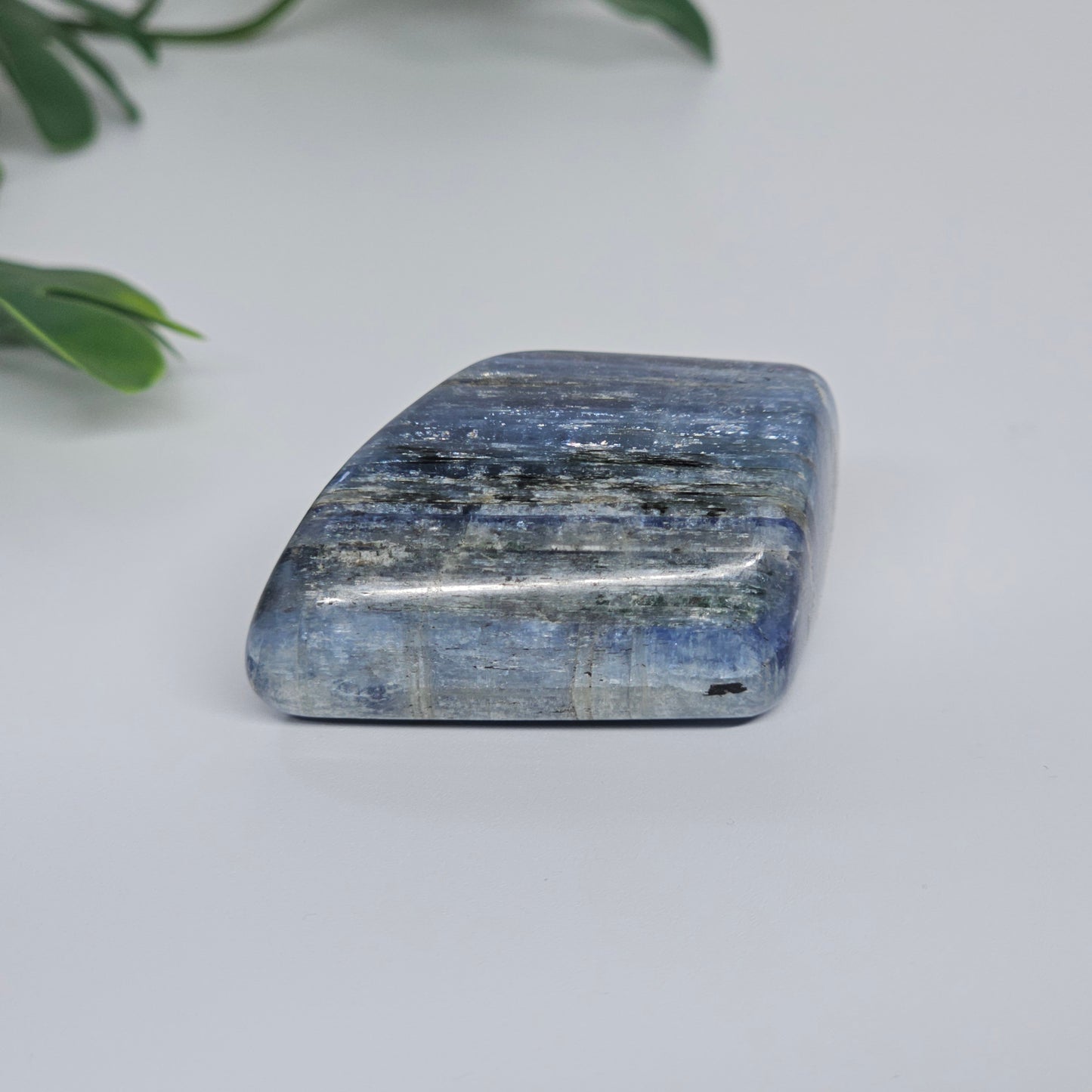 Blue Kyanite Polished Freeform with Strong Silver Flash | Option B | Natural Crystal for Clarity & Inner Alignment