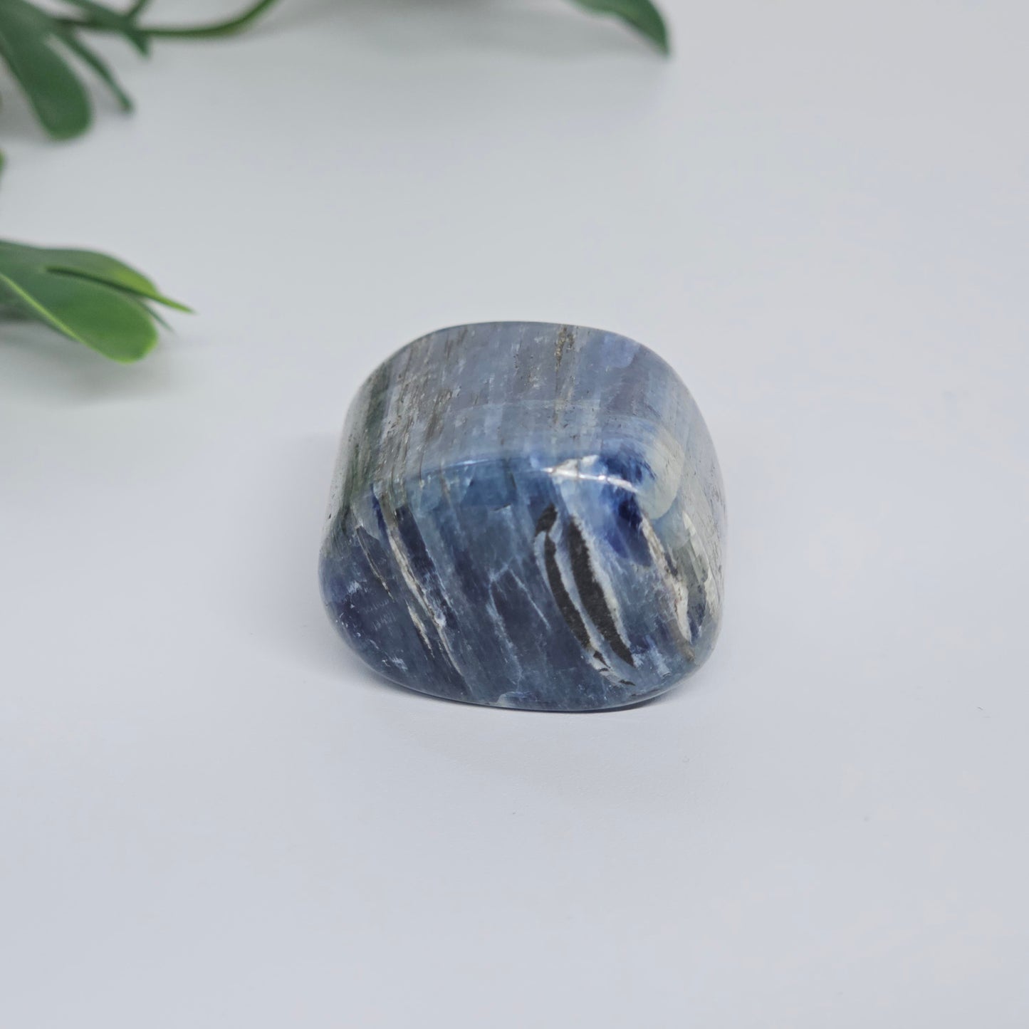 Blue Kyanite Polished Freeform with Strong Silver Flash | Option B | Natural Crystal for Clarity & Inner Alignment