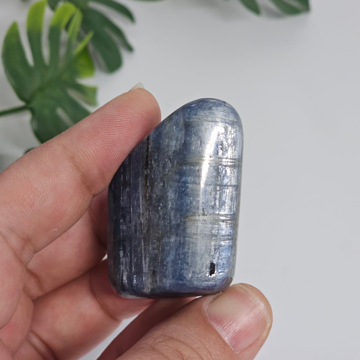 Blue Kyanite Polished Freeform with Strong Silver Flash | Option B | Natural Crystal for Clarity & Inner Alignment
