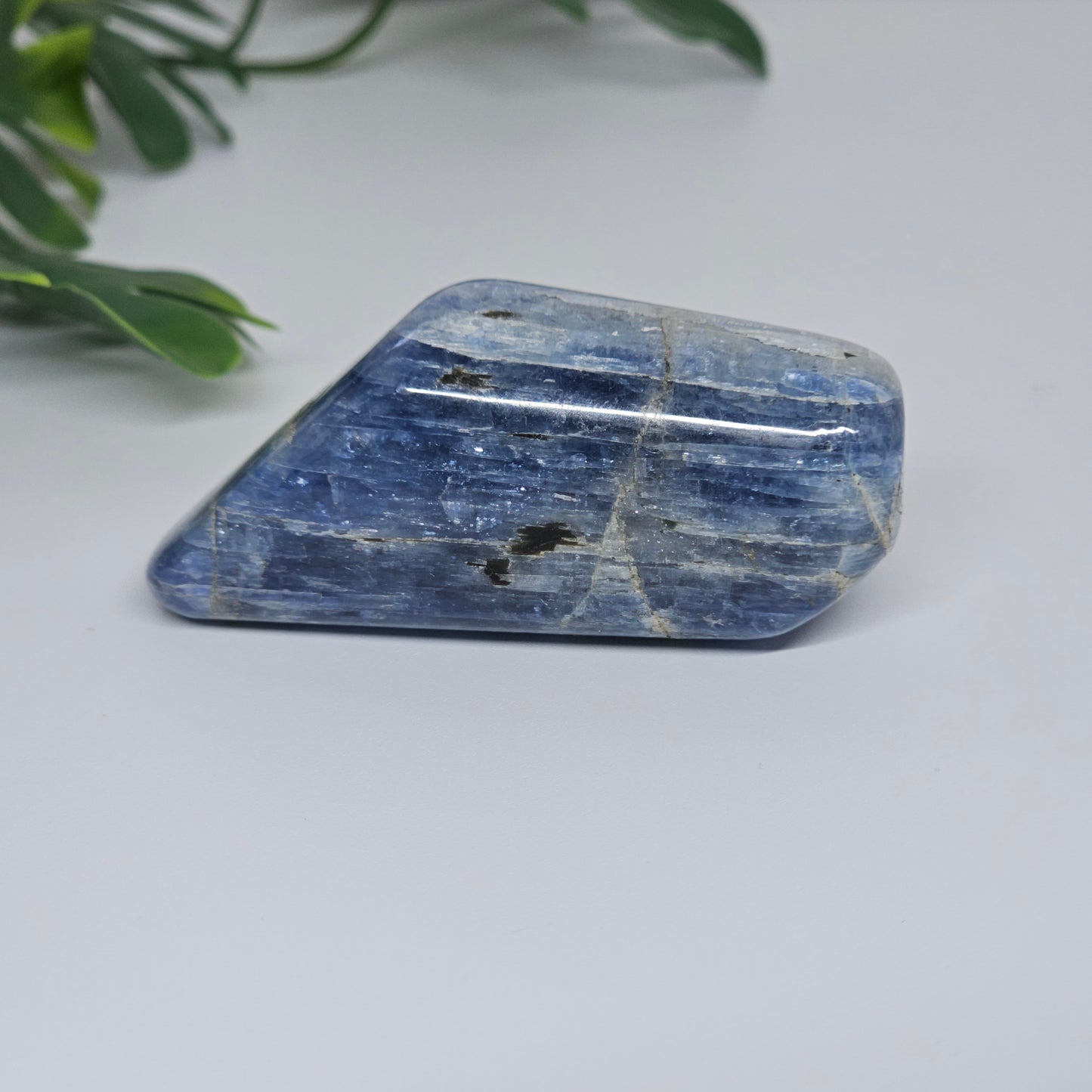 Blue Kyanite Polished Freeform with Silver Flash | Option C | Natural Crystal for Clarity & Inner Alignment