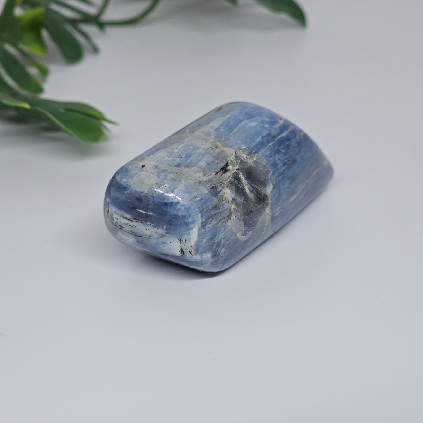 Blue Kyanite Polished Freeform with Silver Flash | Option C | Natural Crystal for Clarity & Inner Alignment