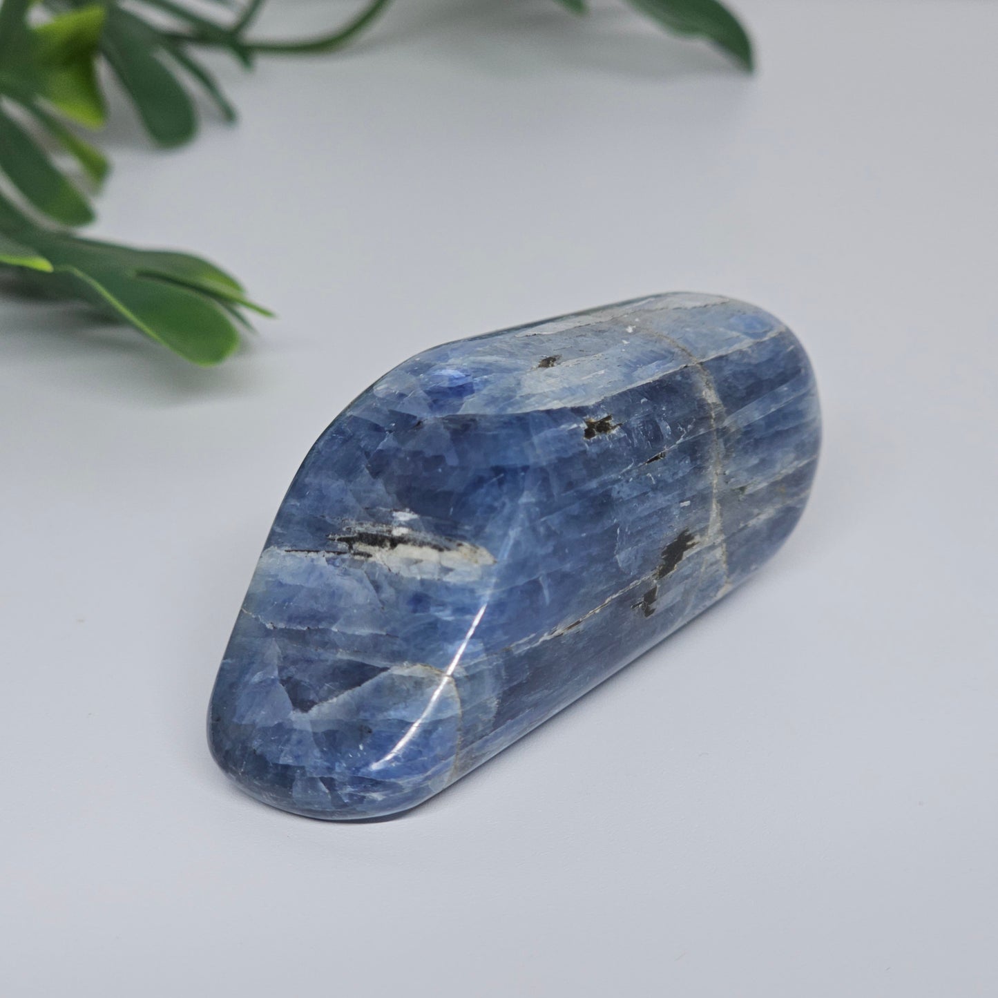Blue Kyanite Polished Freeform with Silver Flash | Option C | Natural Crystal for Clarity & Inner Alignment