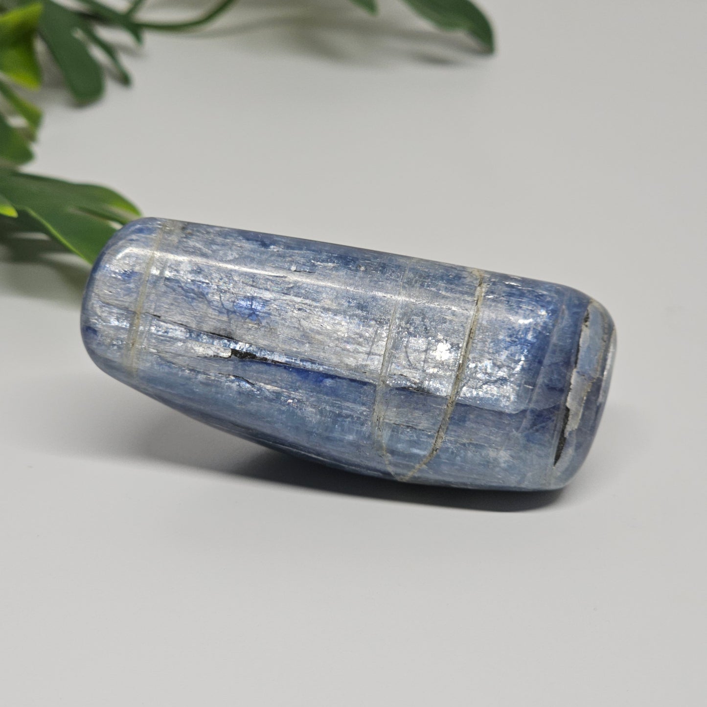 Blue Kyanite Polished Freeform with Silver Flash | Option C | Natural Crystal for Clarity & Inner Alignment