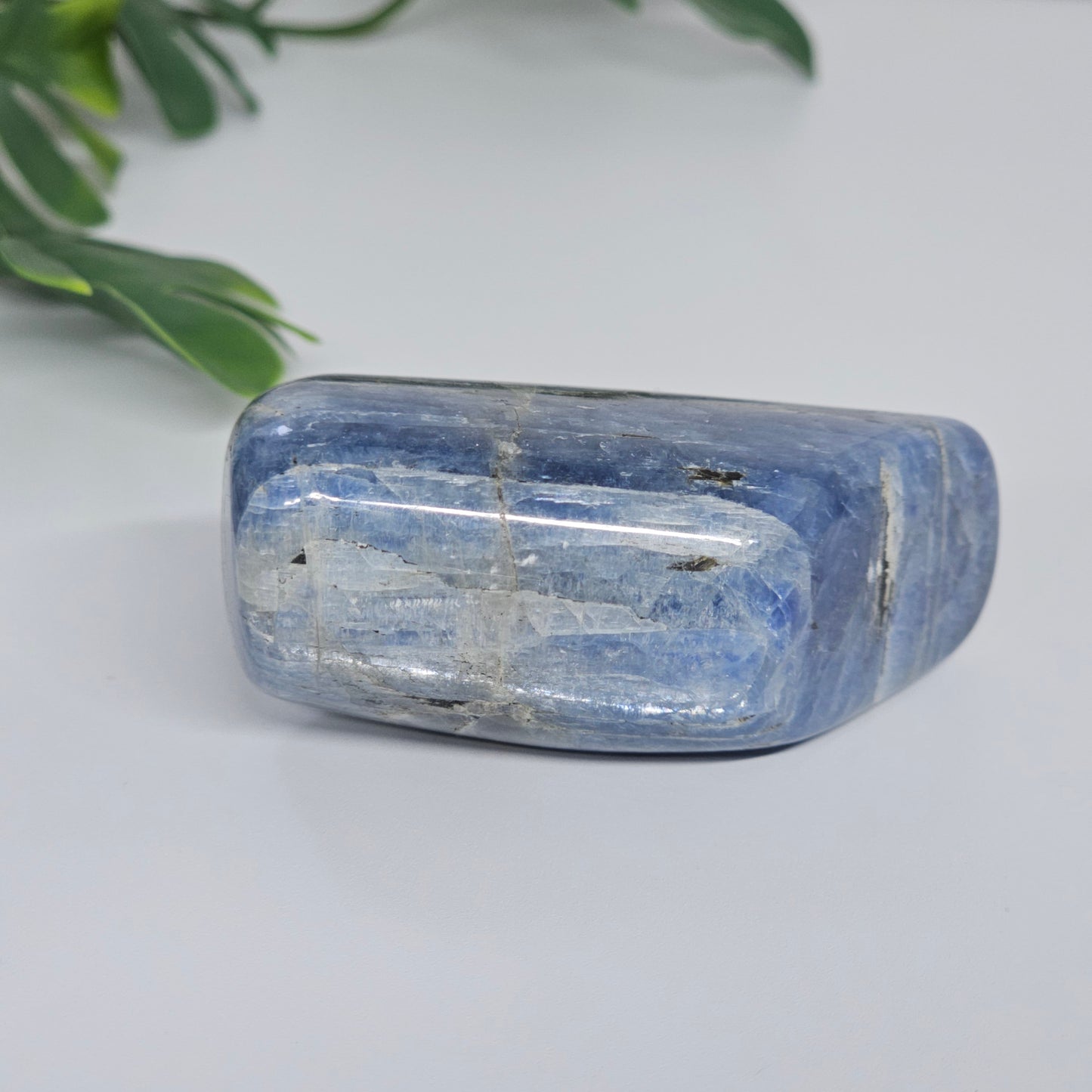 Blue Kyanite Polished Freeform with Silver Flash | Option C | Natural Crystal for Clarity & Inner Alignment