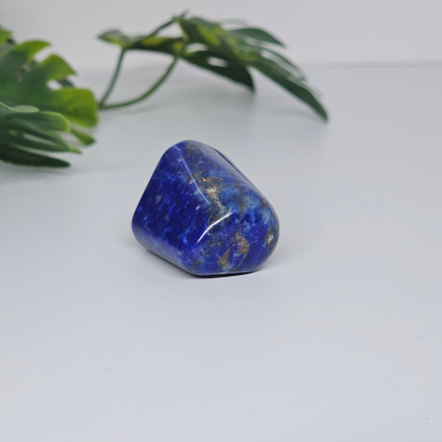 AA Grade Lapis Lazuli | Large Polished Tumble Stone | Option A