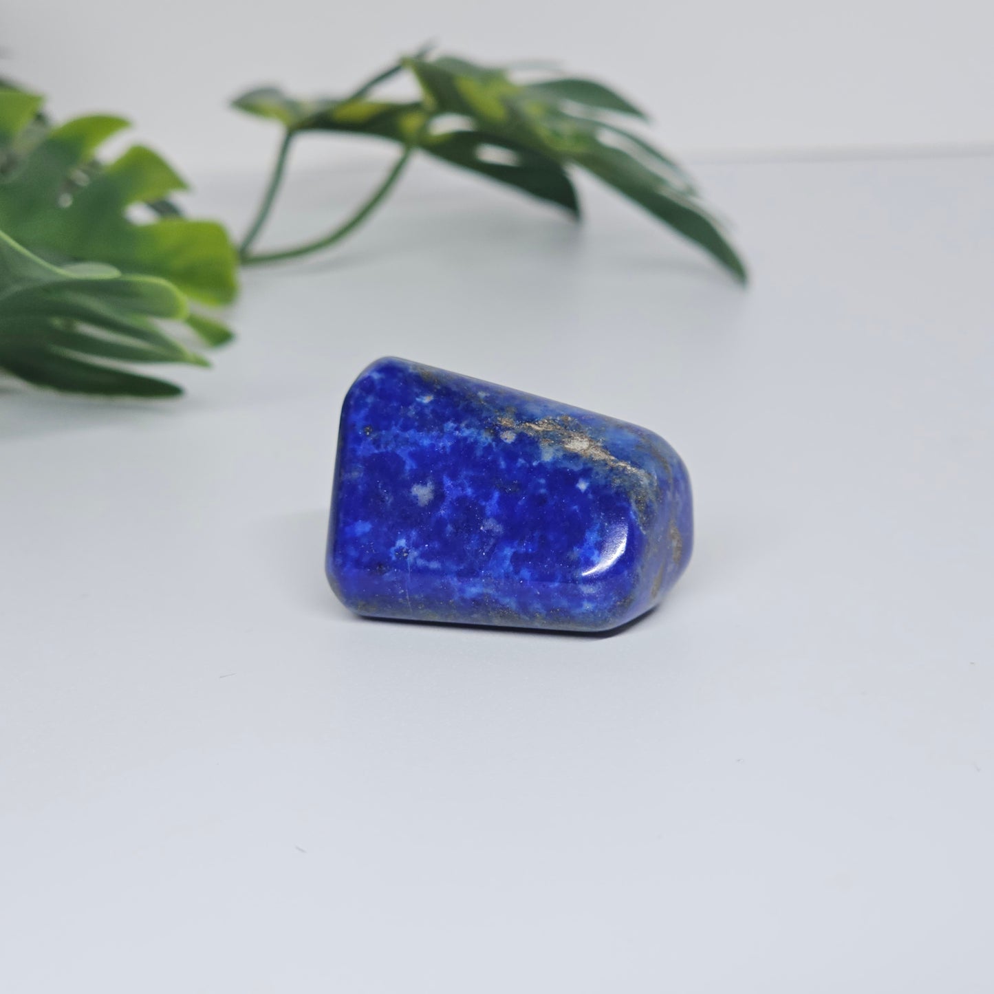 AA Grade Lapis Lazuli | Large Polished Tumble Stone | Option A