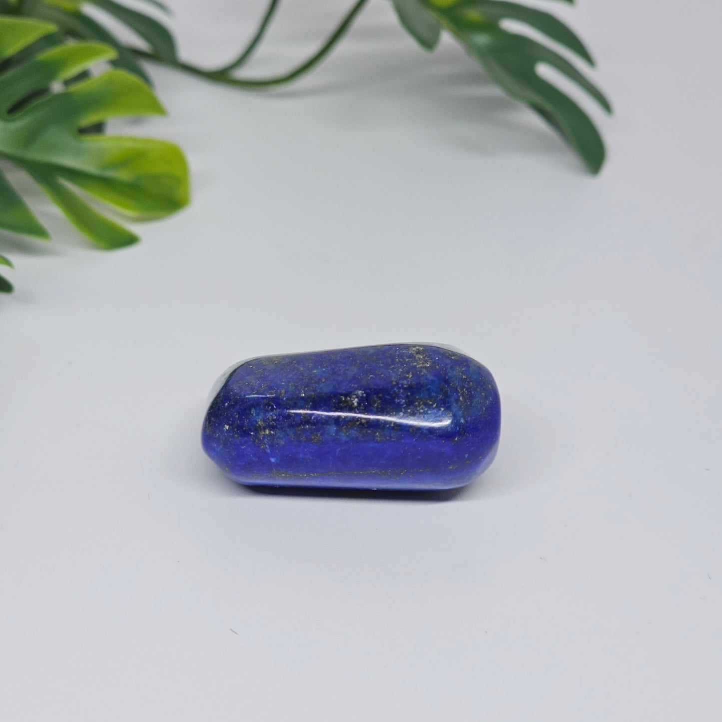 AA Grade Lapis Lazuli | Large Polished Tumble Stone | Option B