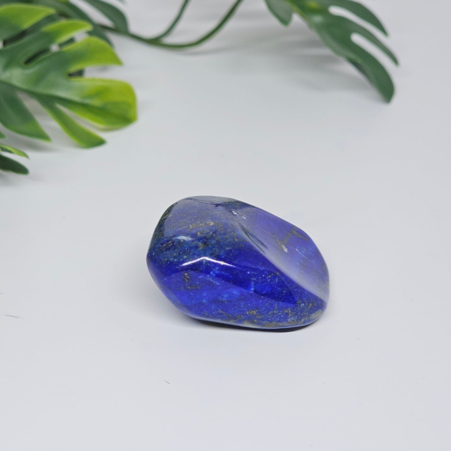 AA Grade Lapis Lazuli | Large Polished Tumble Stone | Option B