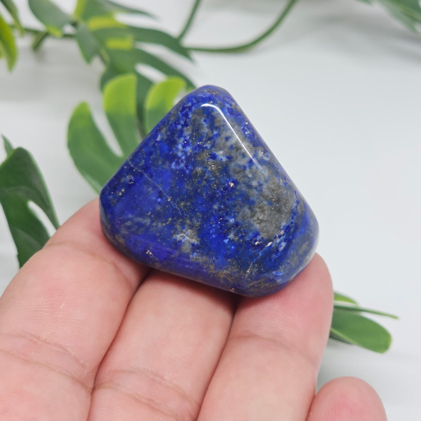 AA Grade Lapis Lazuli | Large Polished Tumble Stone | Option C