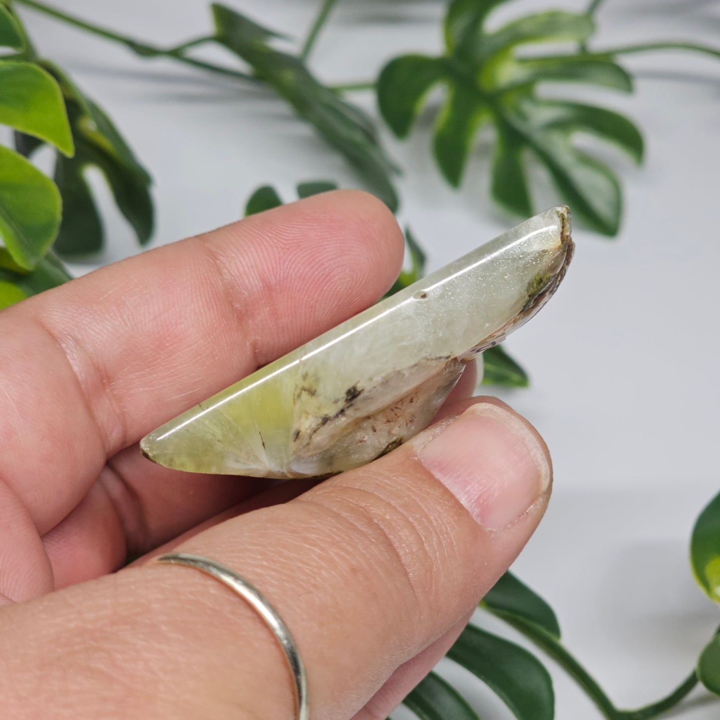 Prehnite Polished Slab | B