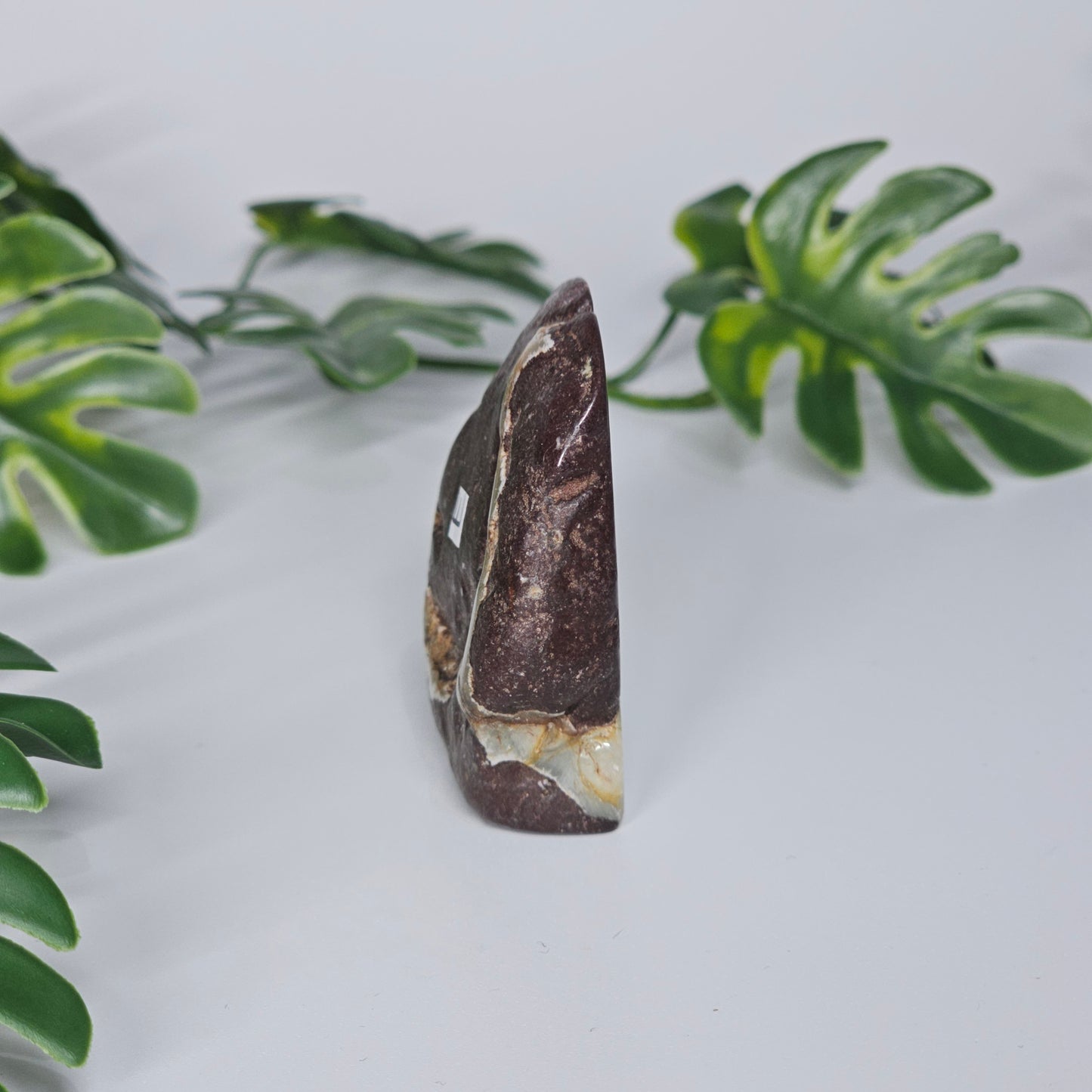 Prehnite Polished Slab | E