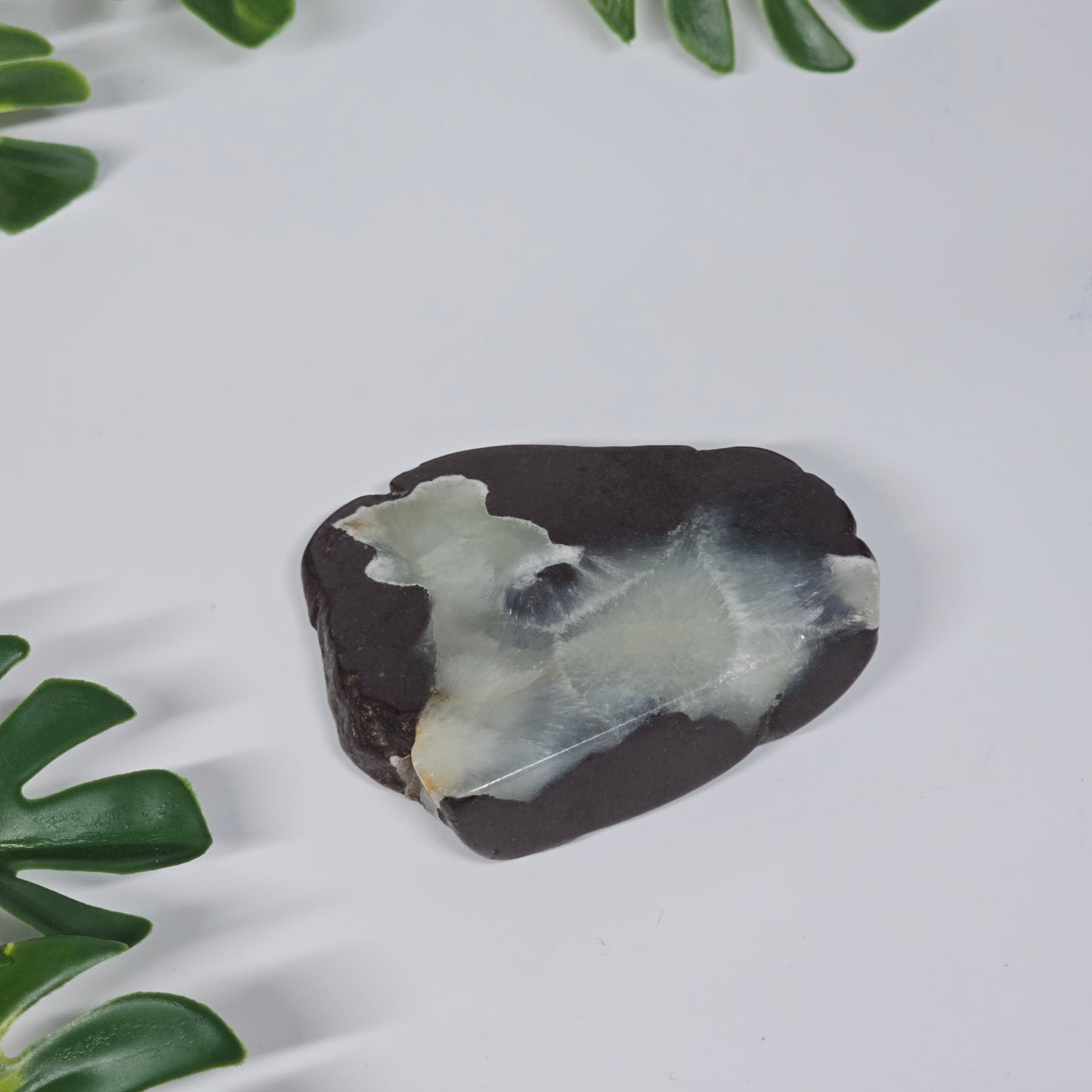 Prehnite Polished Slab | E