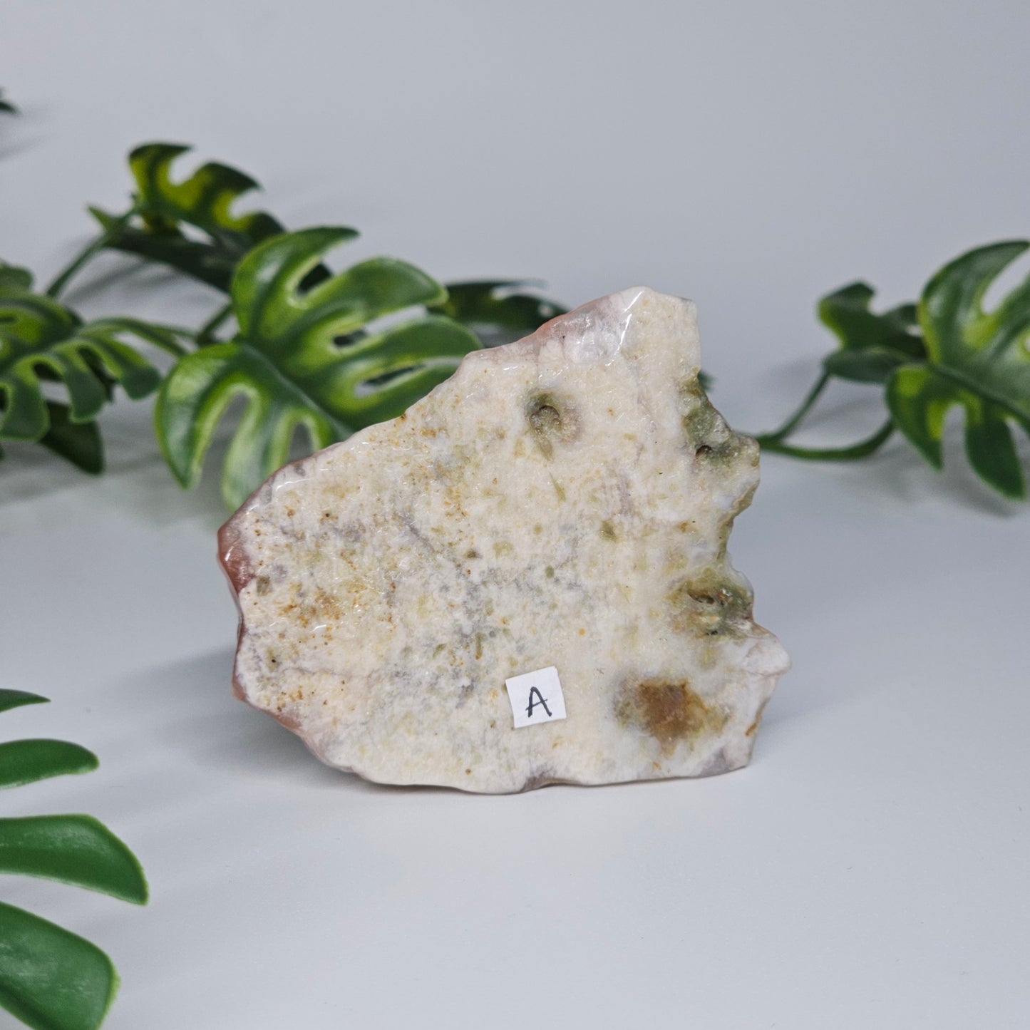Flower Agate Polished Slab | A