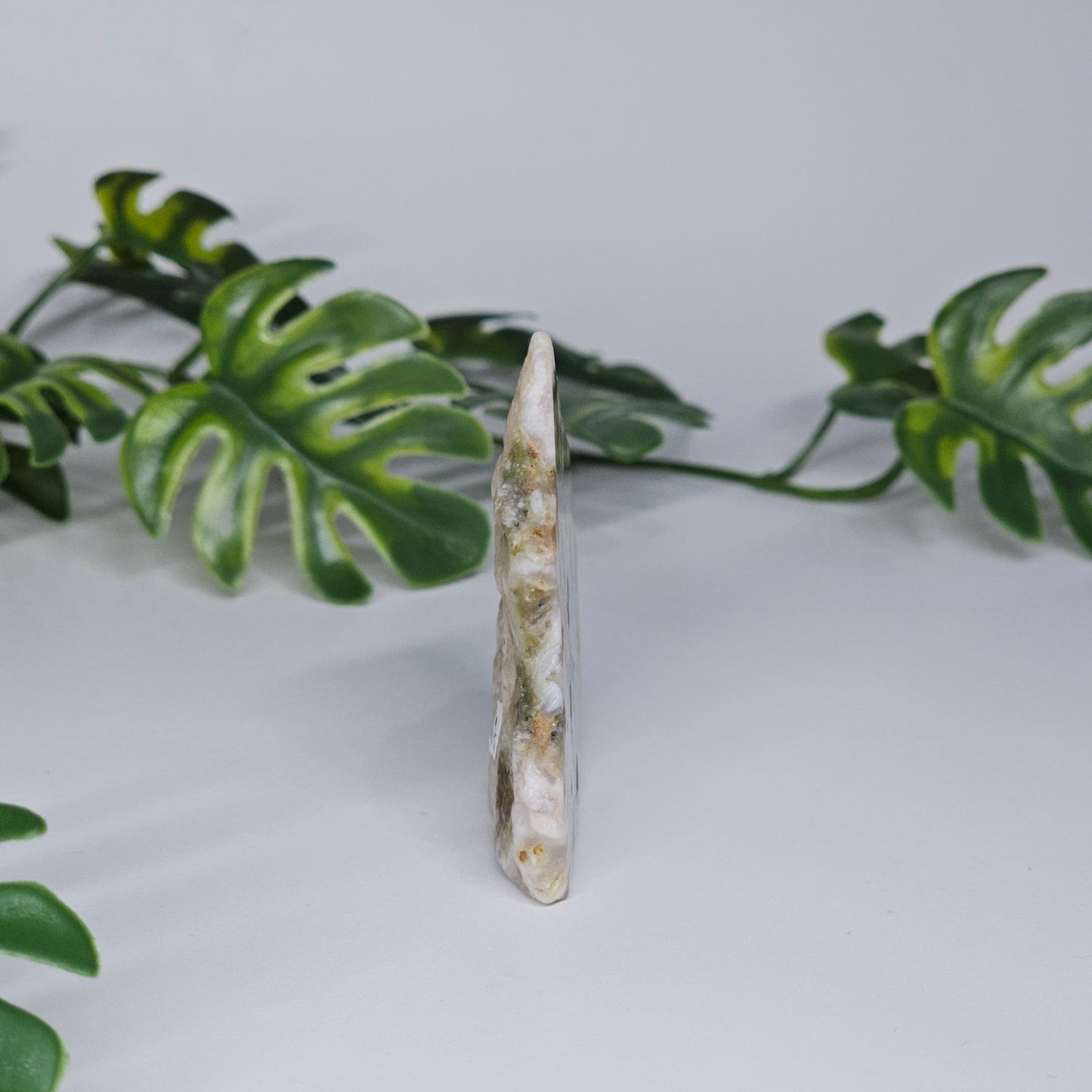 Flower Agate Polished Slab | A