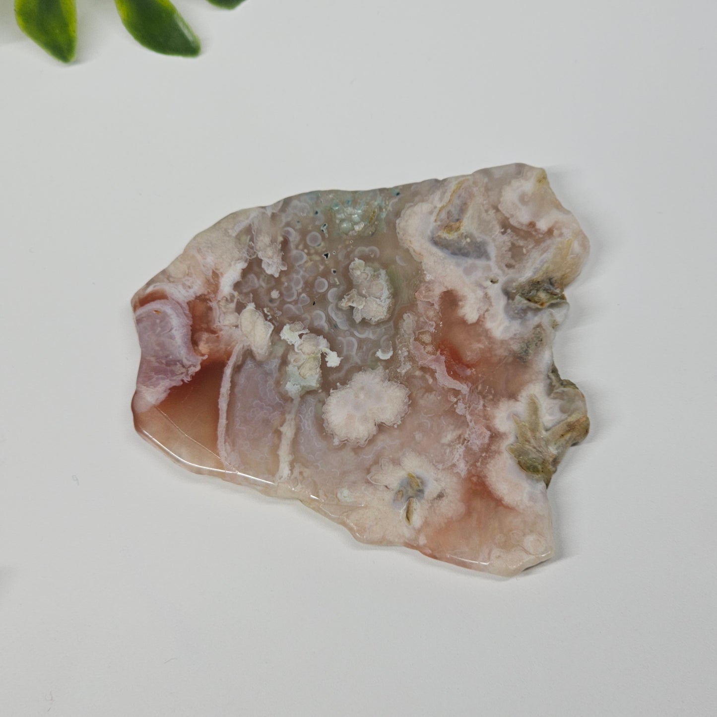 Flower Agate Polished Slab | A