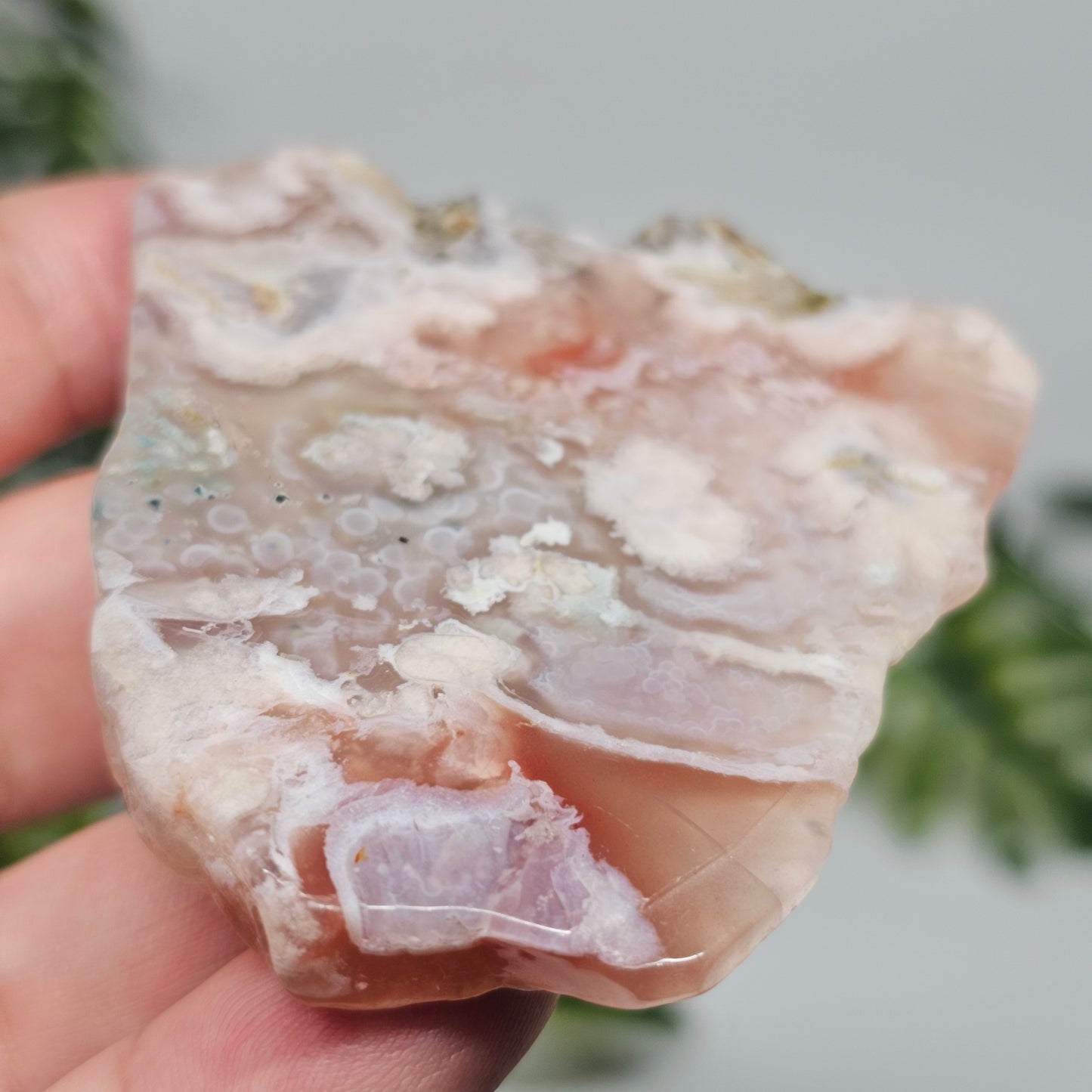 Flower Agate Polished Slab | A