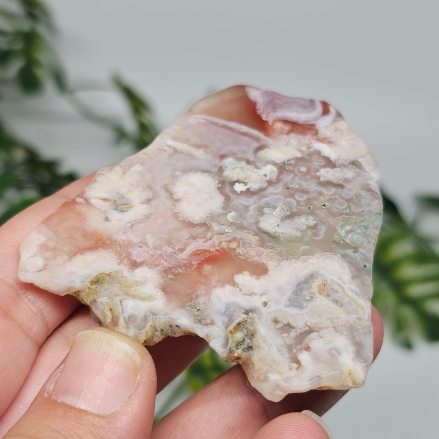 Flower Agate Polished Slab | A