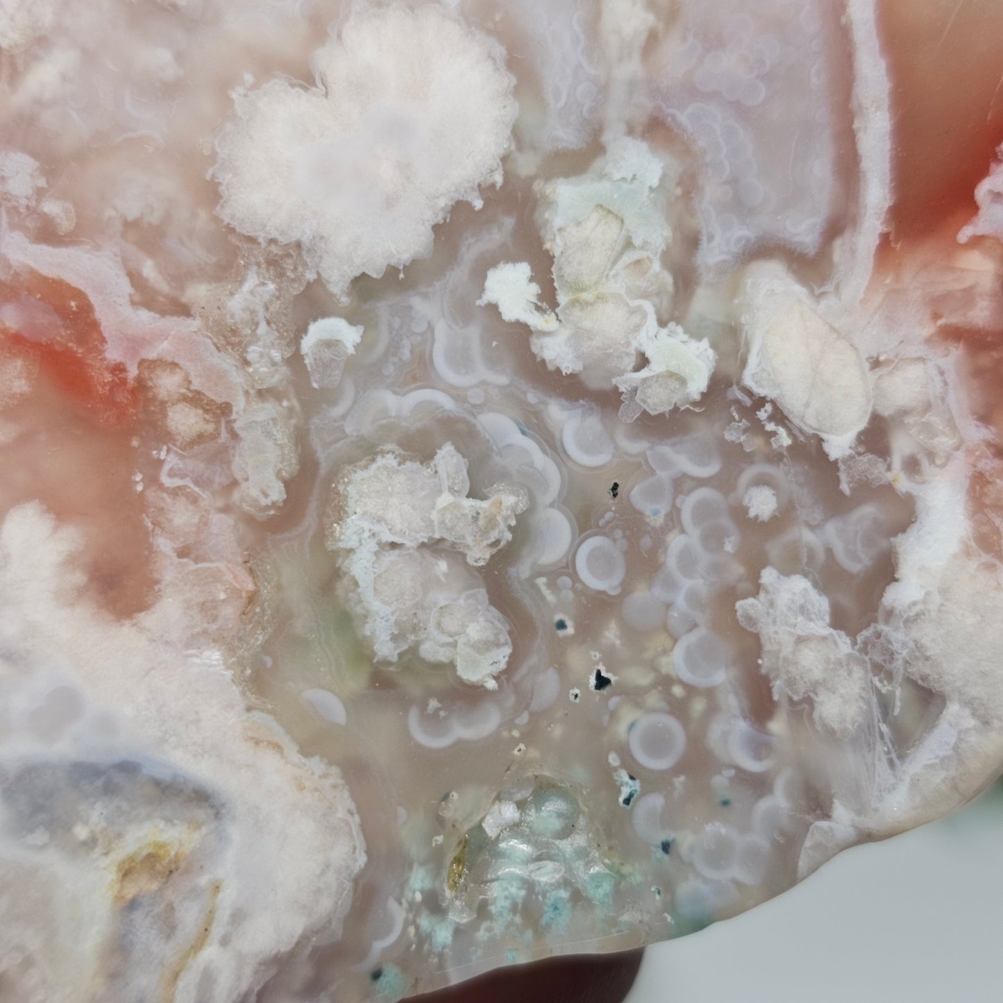 Flower Agate Polished Slab | A