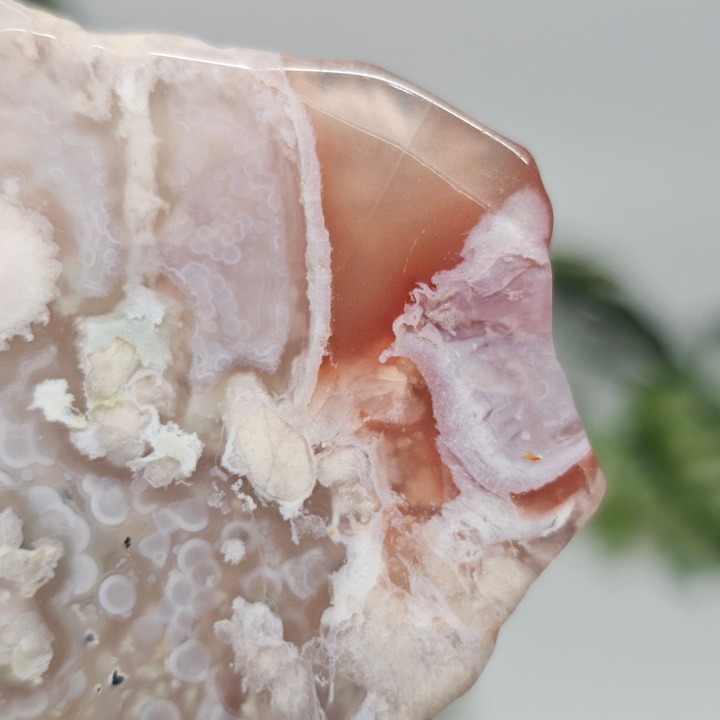 Flower Agate Polished Slab | A