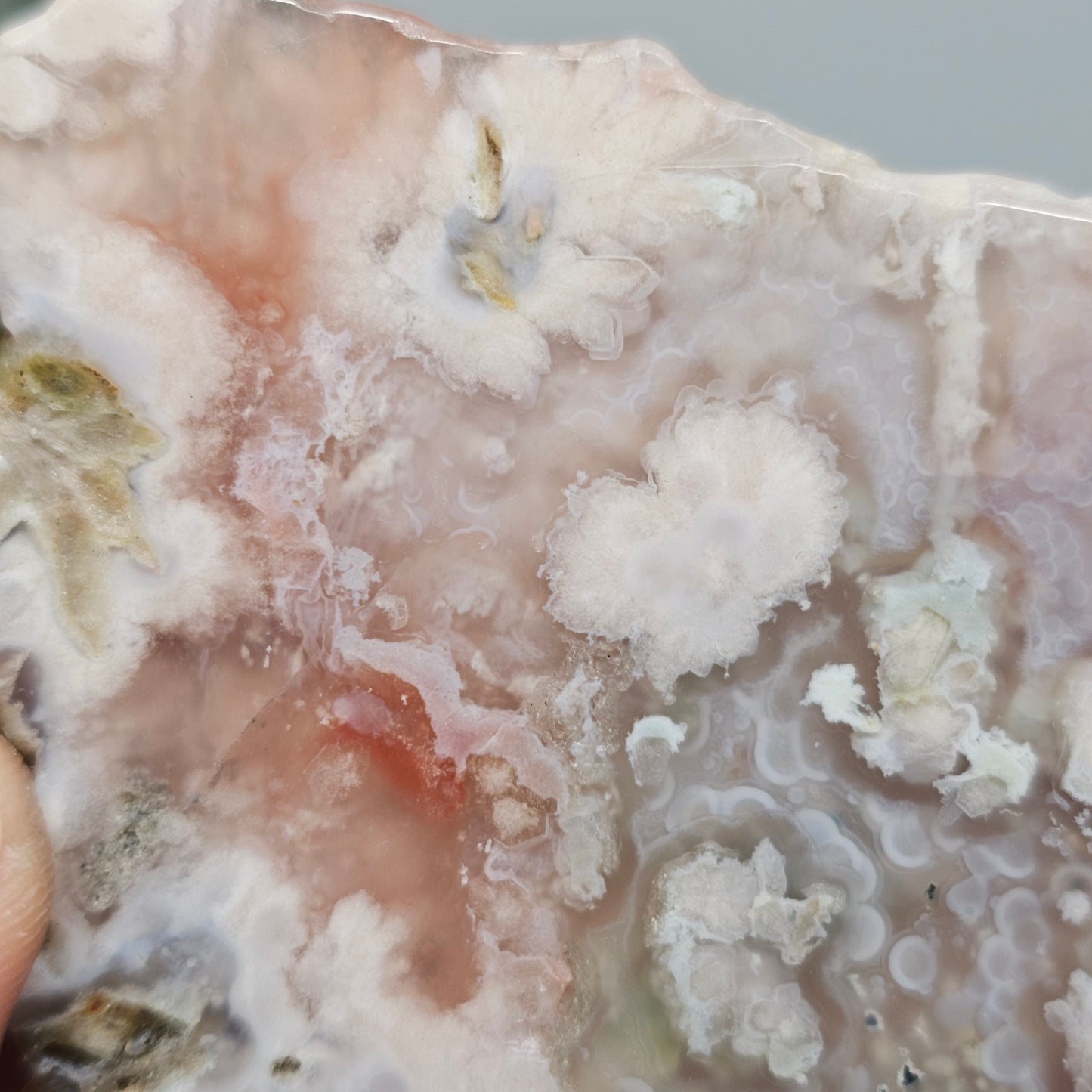 Flower Agate Polished Slab | A