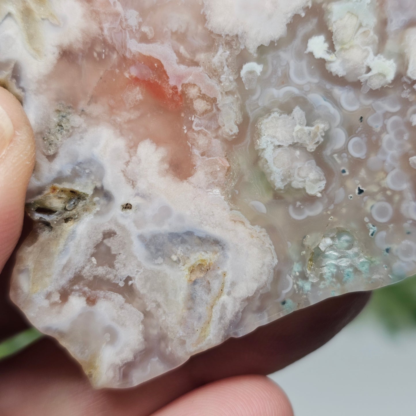 Flower Agate Polished Slab | A
