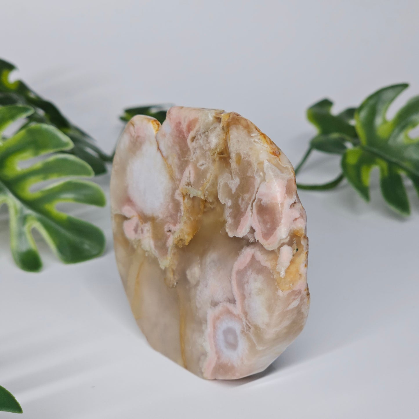 Flower Agate Polished Slab | B