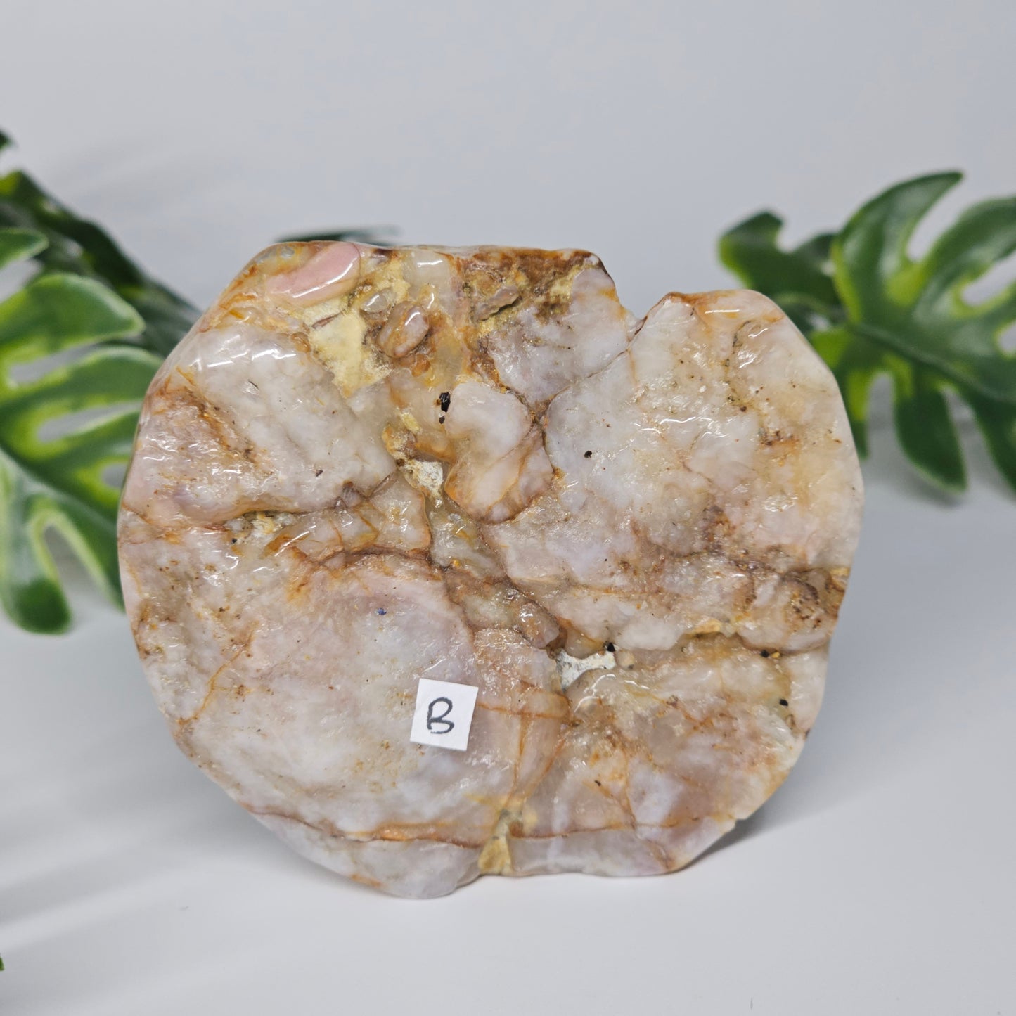 Flower Agate Polished Slab | B