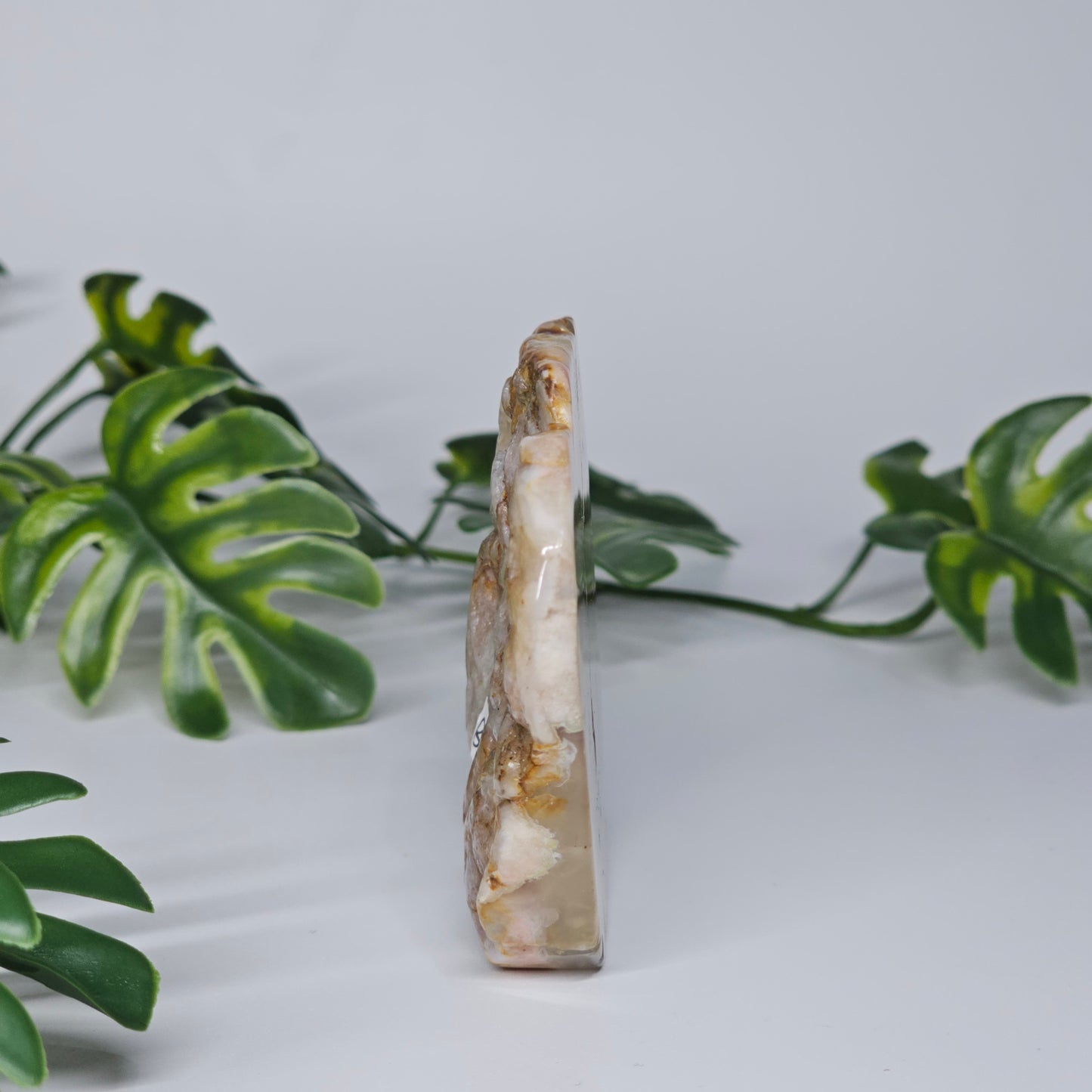 Flower Agate Polished Slab | B