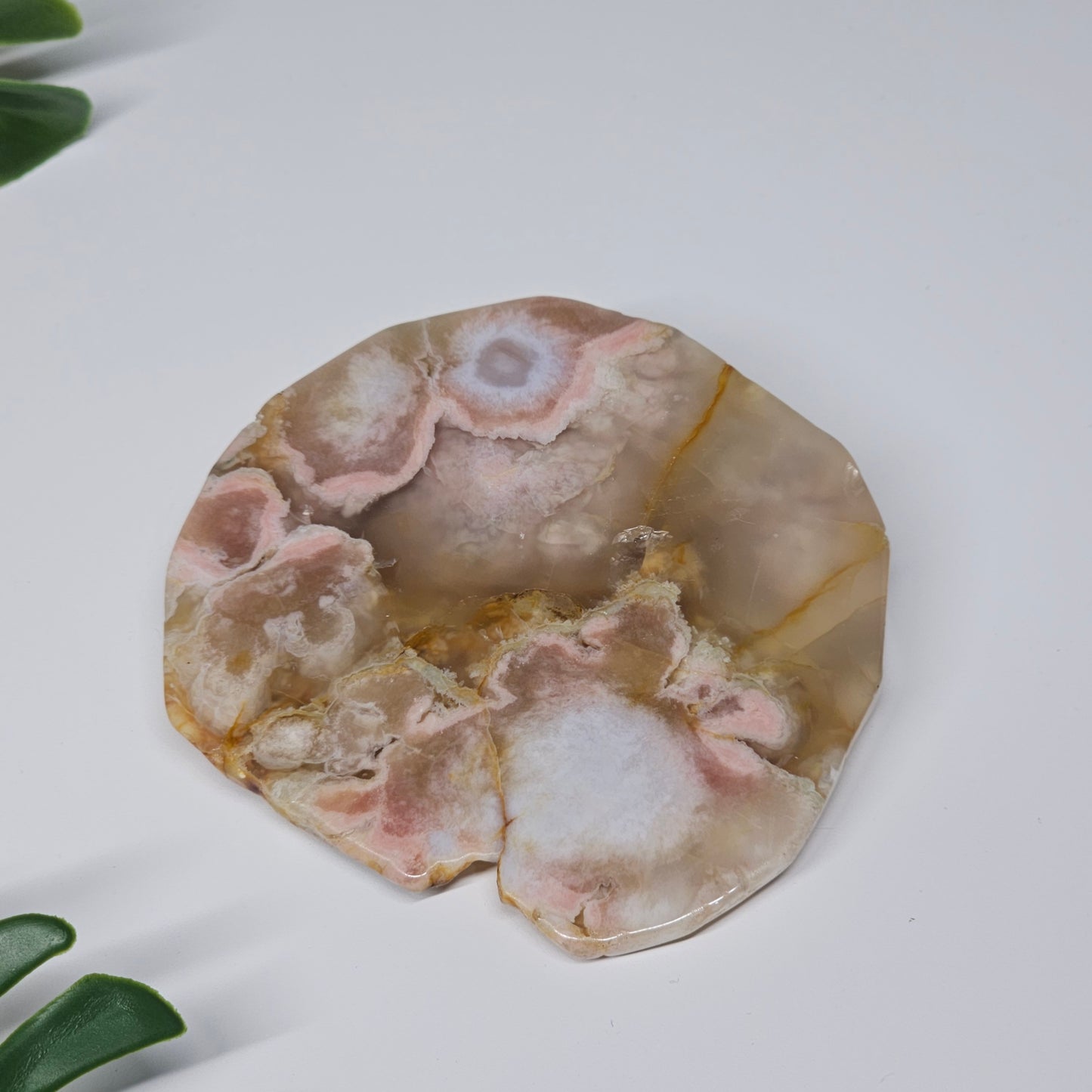 Flower Agate Polished Slab | B