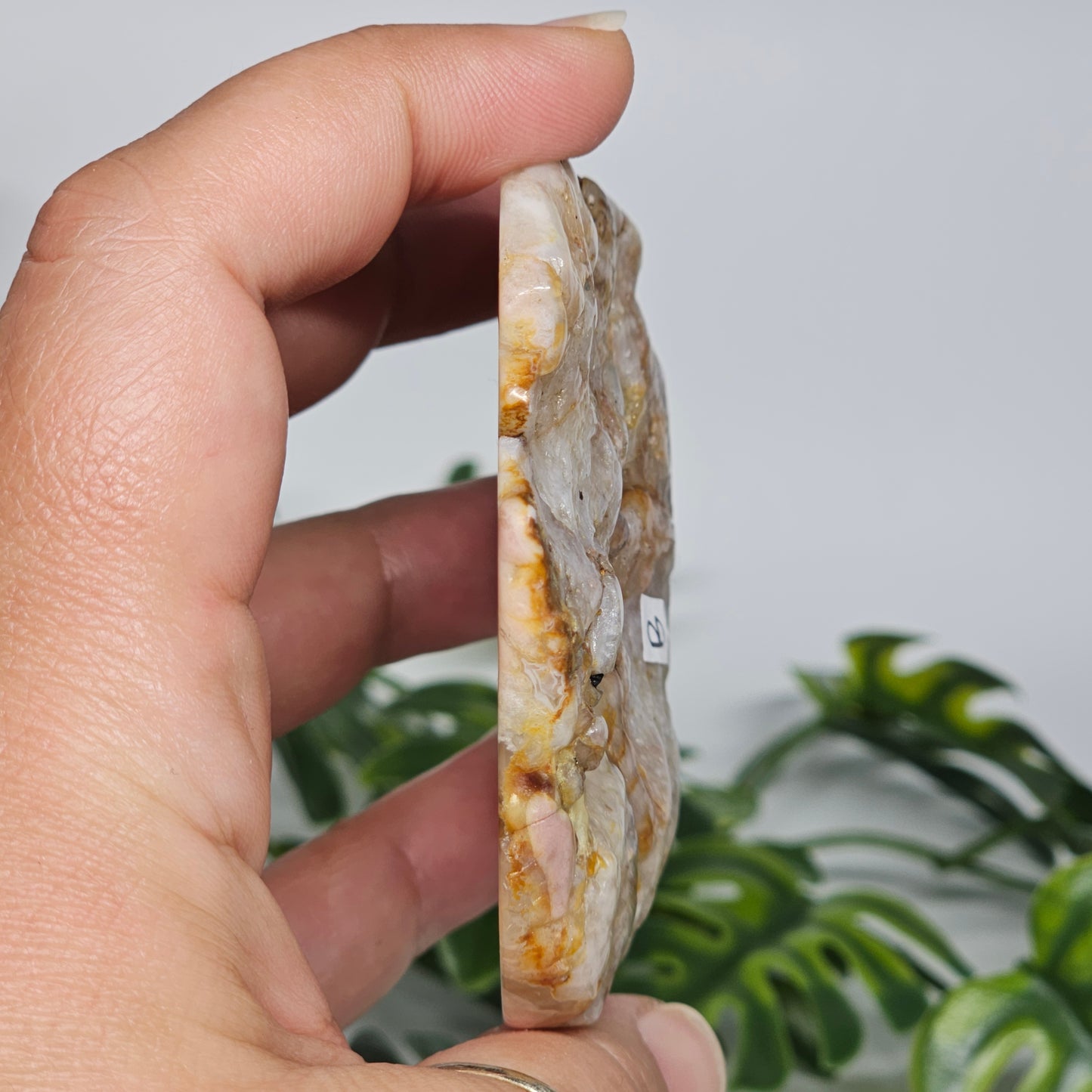 Flower Agate Polished Slab | B