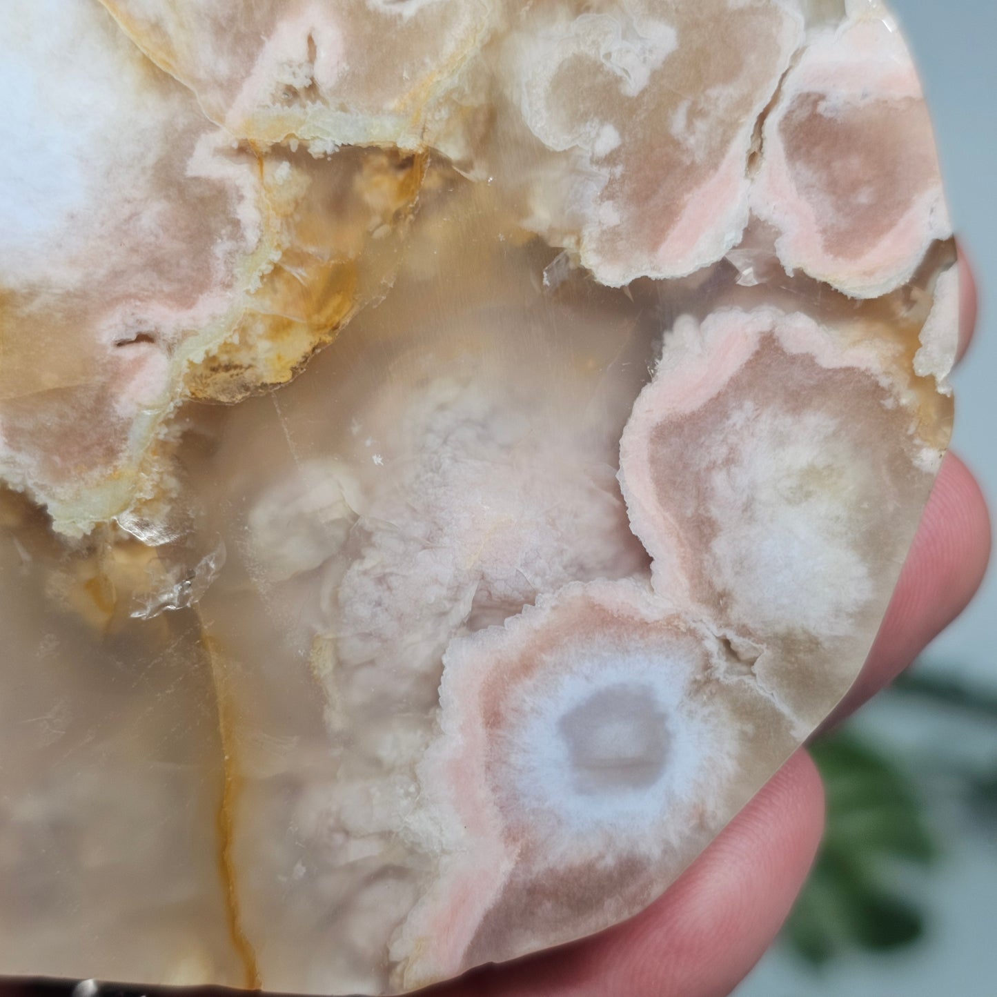 Flower Agate Polished Slab | B