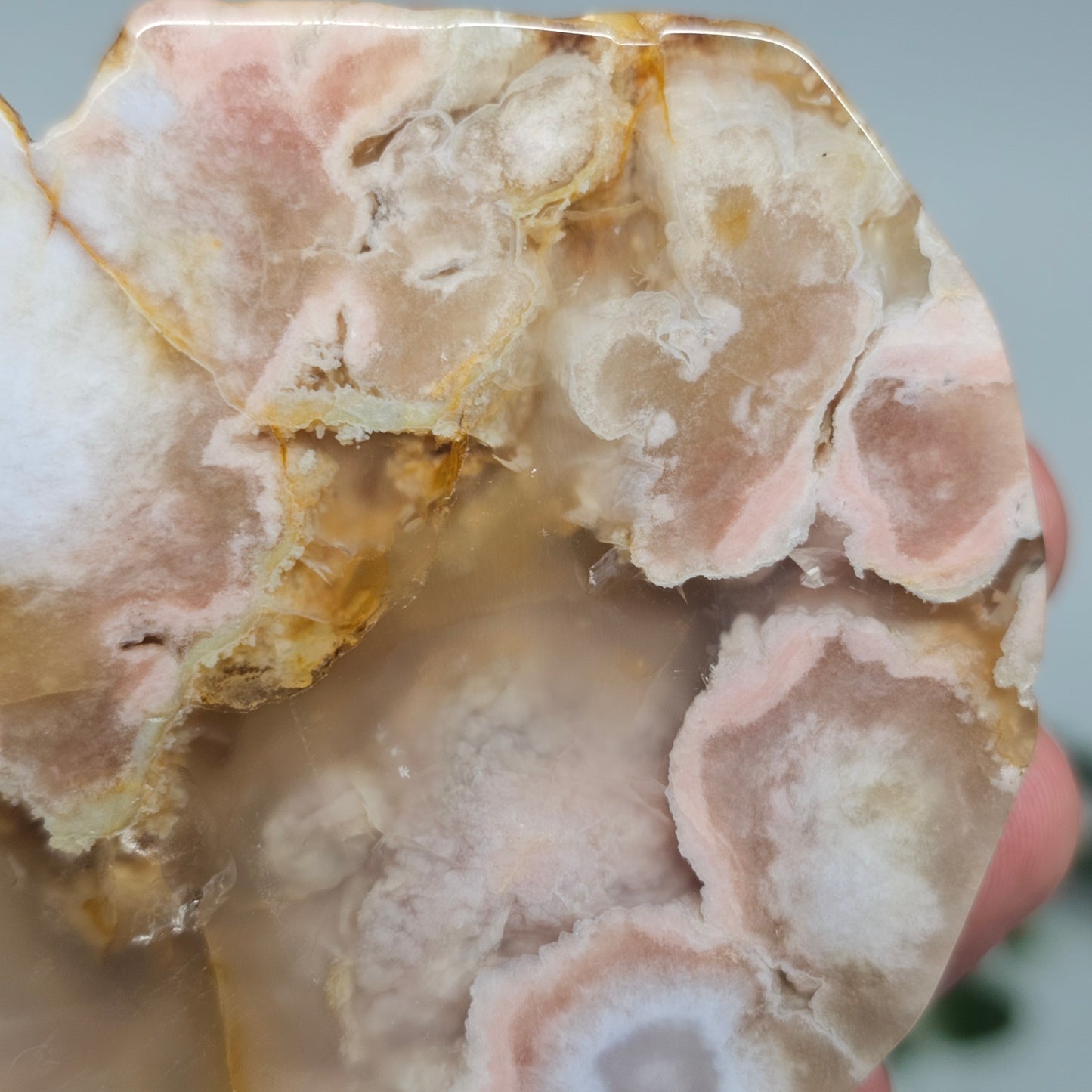 Flower Agate Polished Slab | B