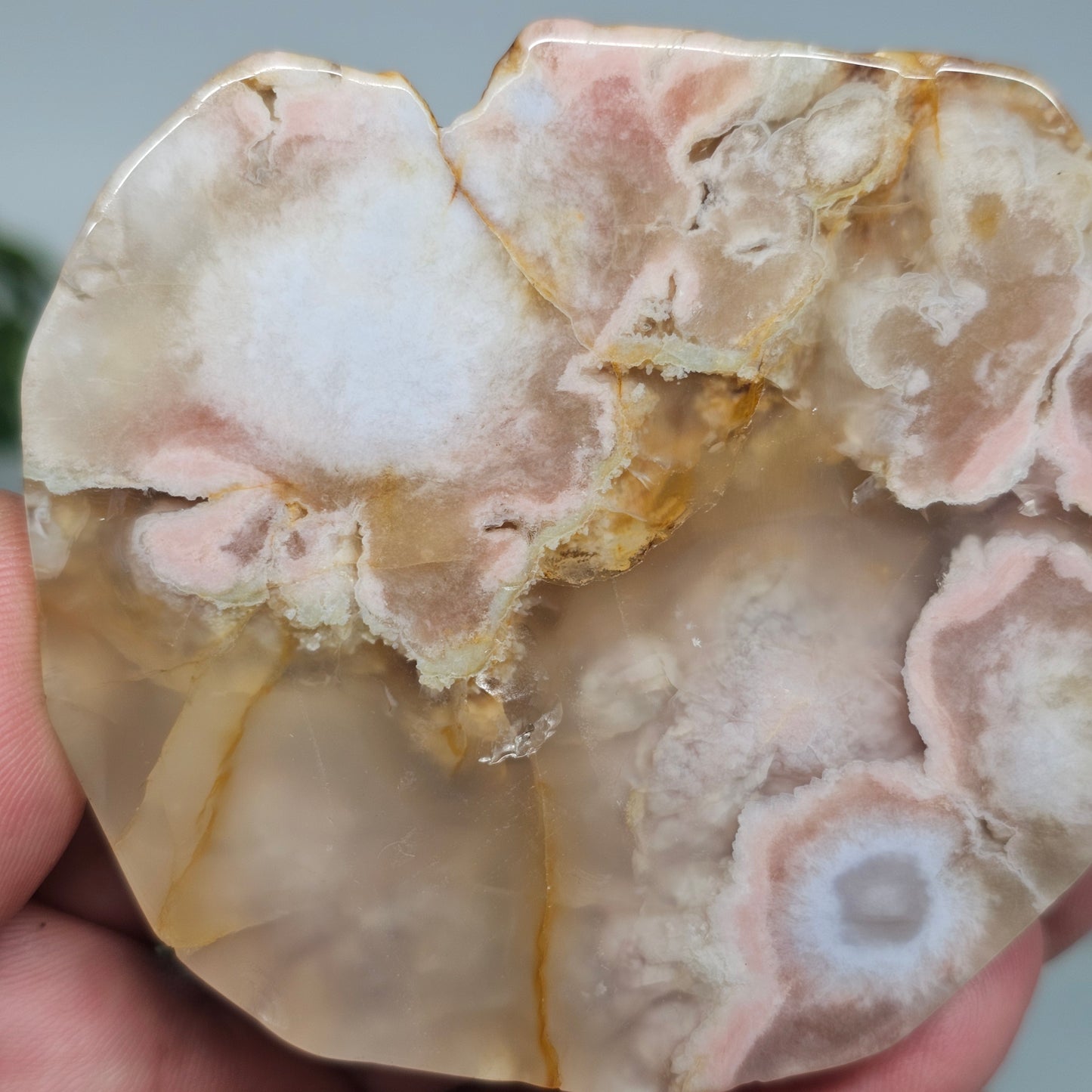 Flower Agate Polished Slab | B