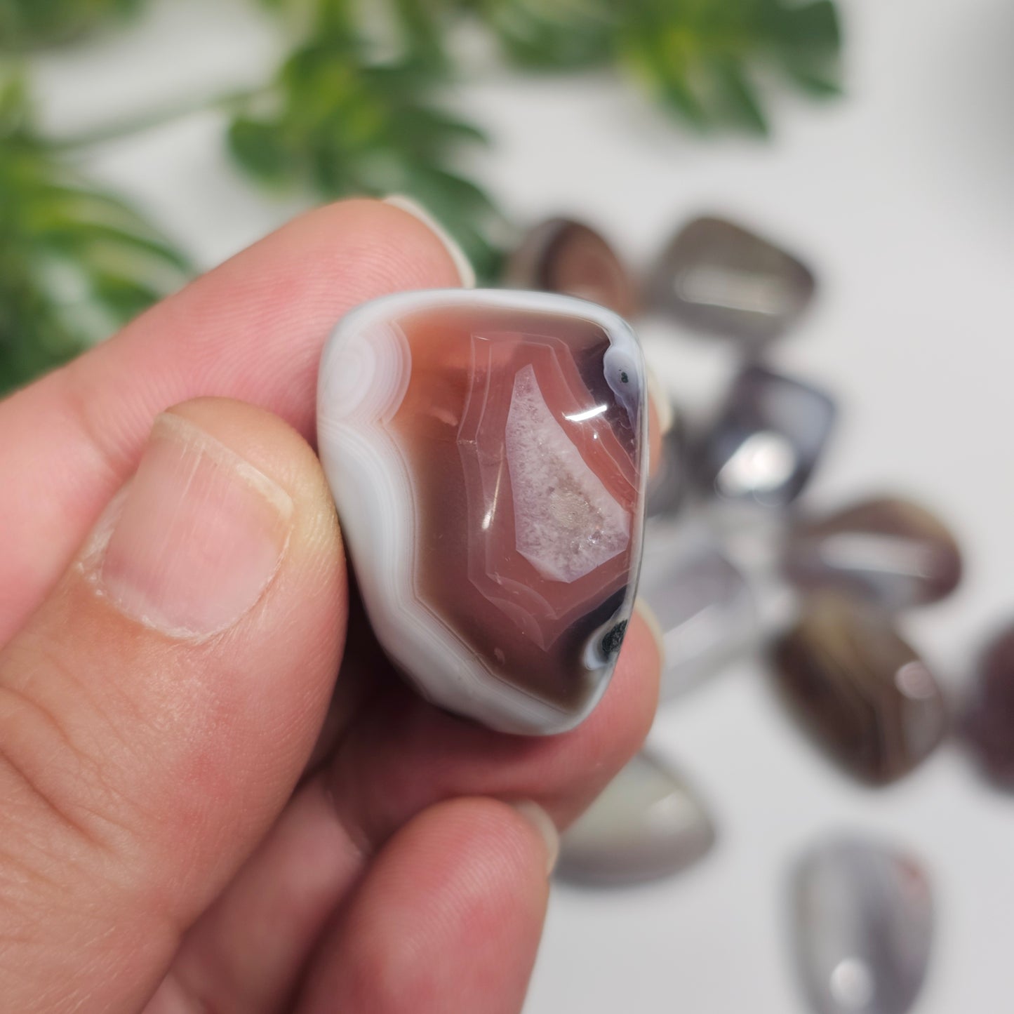 Handheld view of a Botswana Agate tumble stone displaying its polished finish and one-of-a-kind natural banding.
