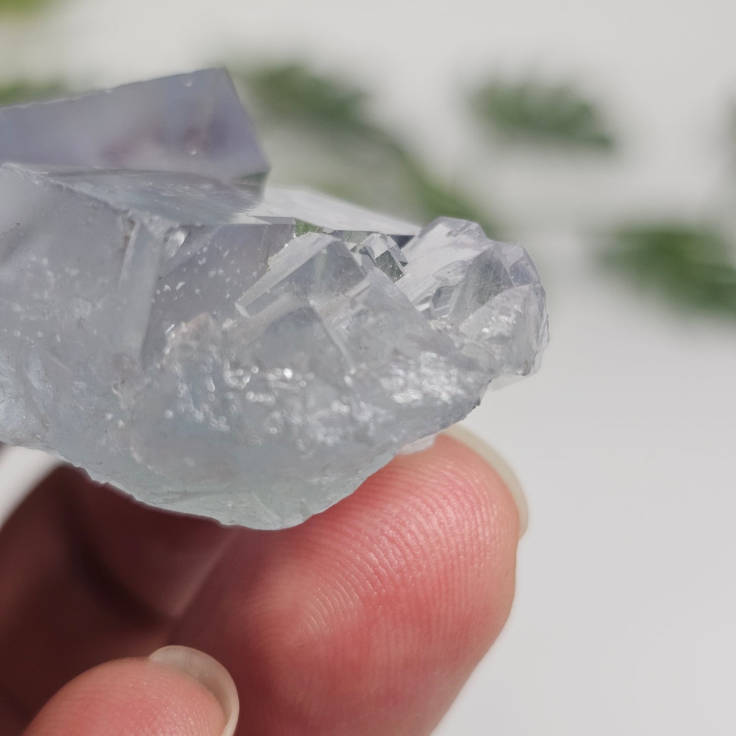Seafoam Green Cubic Fluorite Cluster | Twin Large Cubes Specimen | Hunan, China