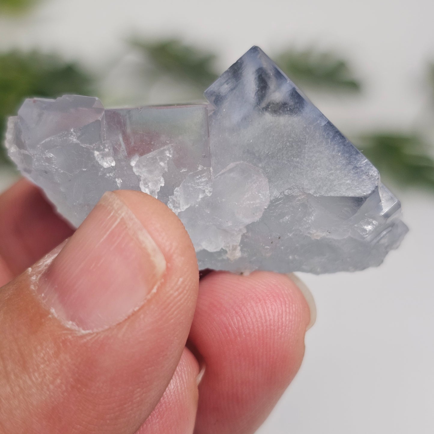 Seafoam Green Cubic Fluorite Cluster | Twin Large Cubes Specimen | Hunan, China