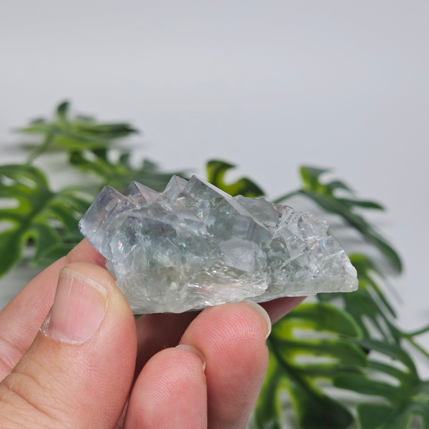 Light Green Transparent Cubic Fluorite Specimen A | Rainbow Iridescence | Xianghualing, China